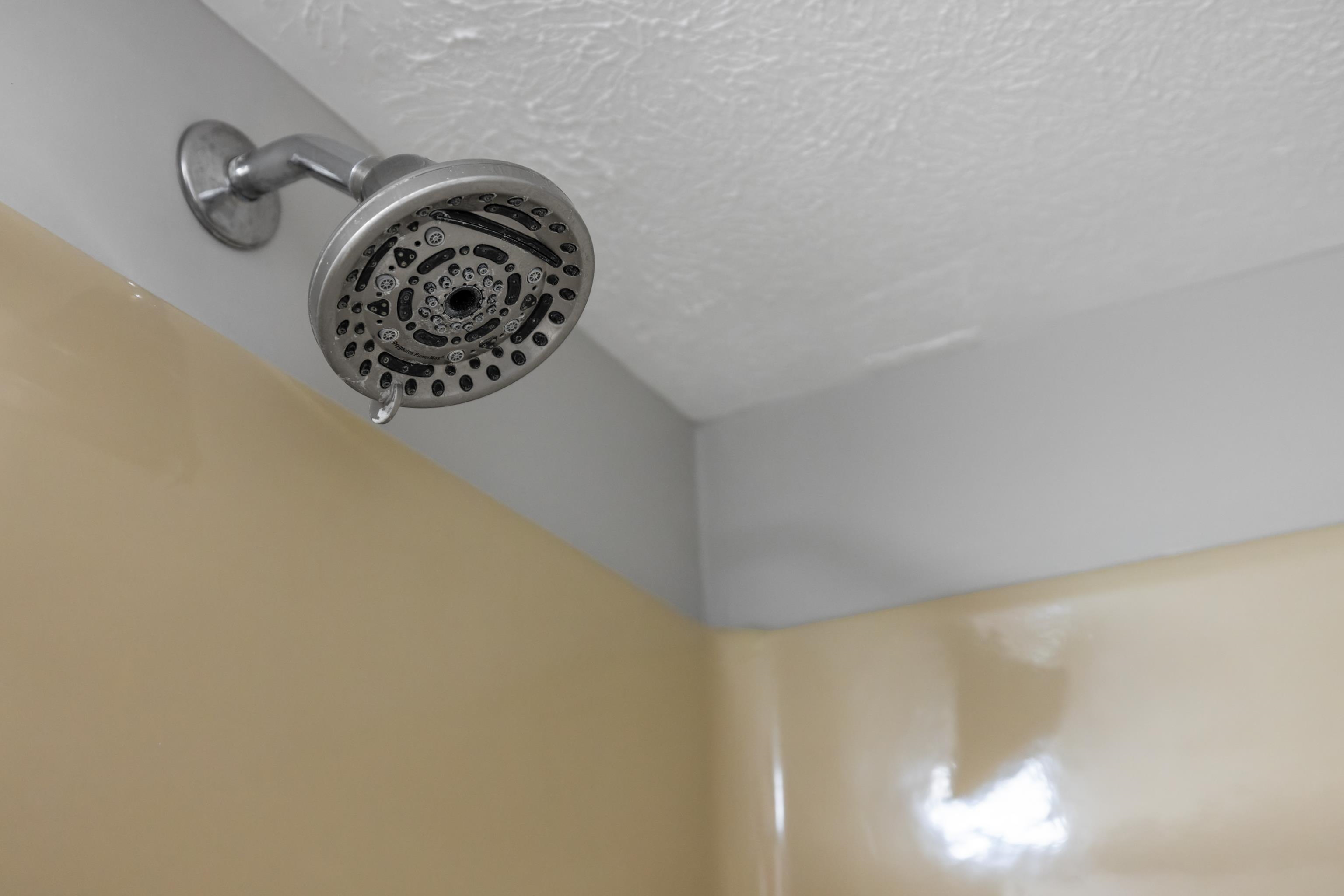 673 Killmon Road Basye, VA 22810 - Photo 35 of 74