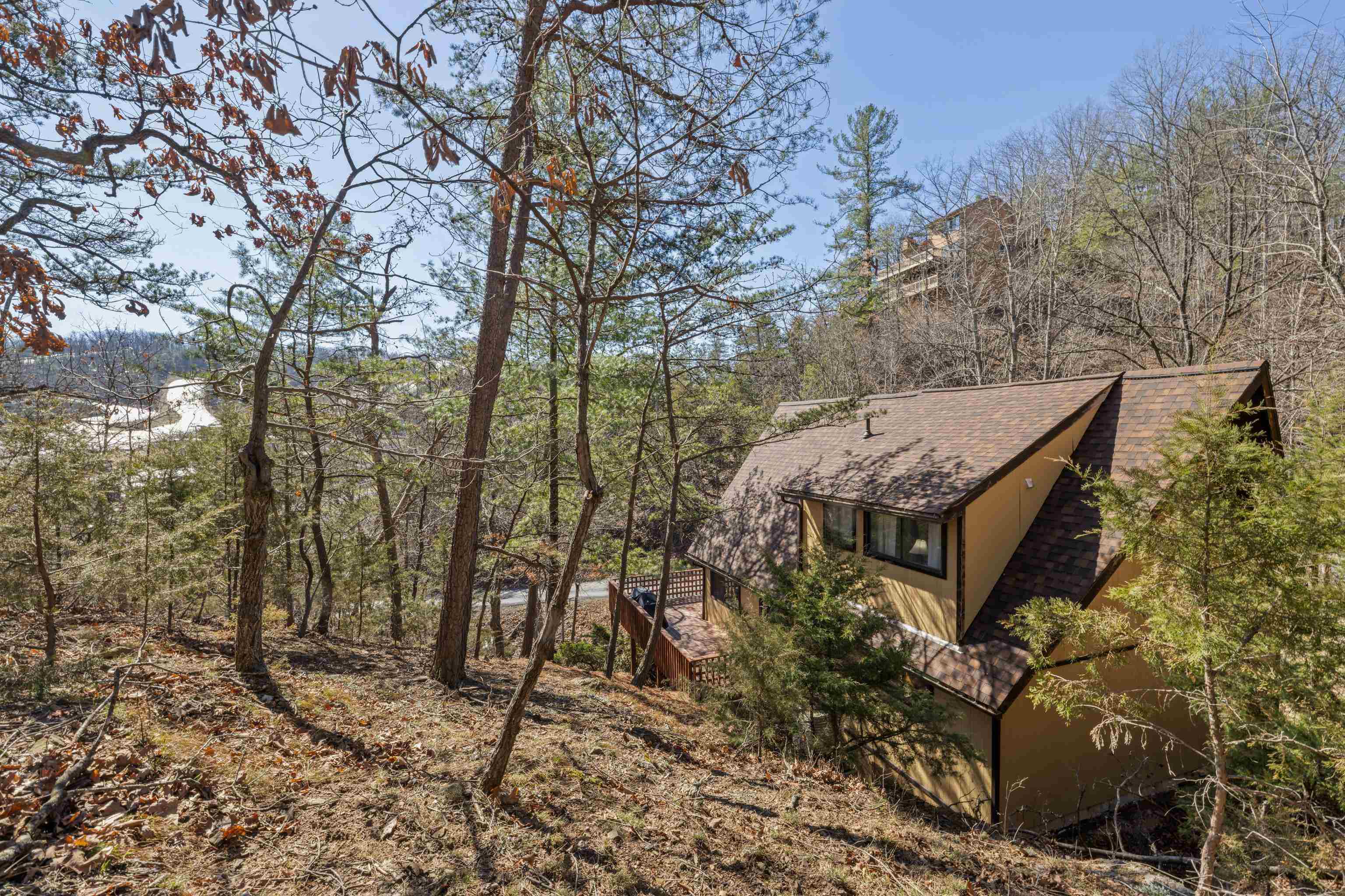 673 Killmon Road Basye, VA 22810 - Photo 55 of 74 a view of a forest filled with trees