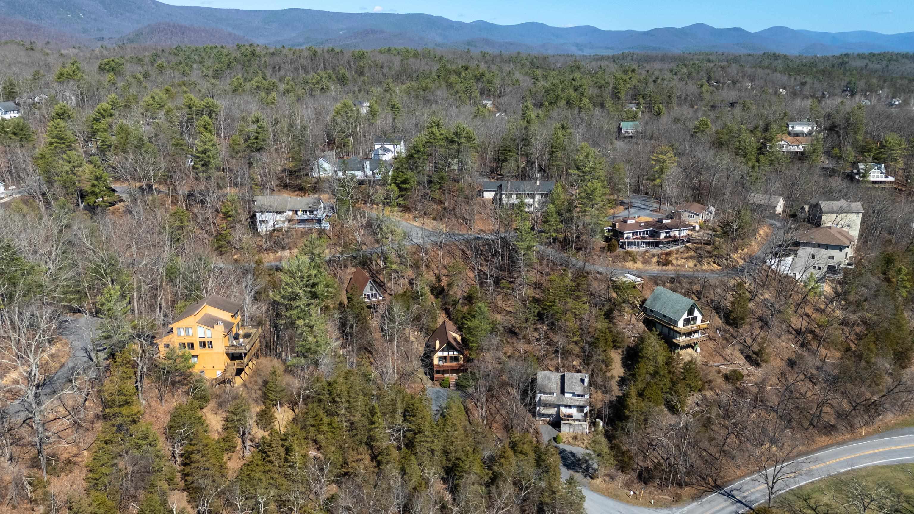 673 Killmon Road Basye, VA 22810 - Photo 66 of 74 a view of a city with mountain
