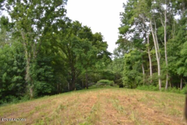2390 Pea Ridge Fire Tower Road Celina, TN 38551 - Photo 15 of 35 DSC_0015