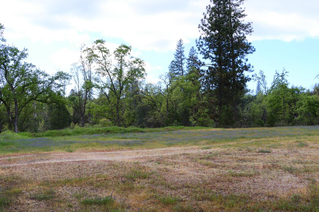 5027 Fox Creek Road Mariposa, CA 95338 - Photo 62 of 81