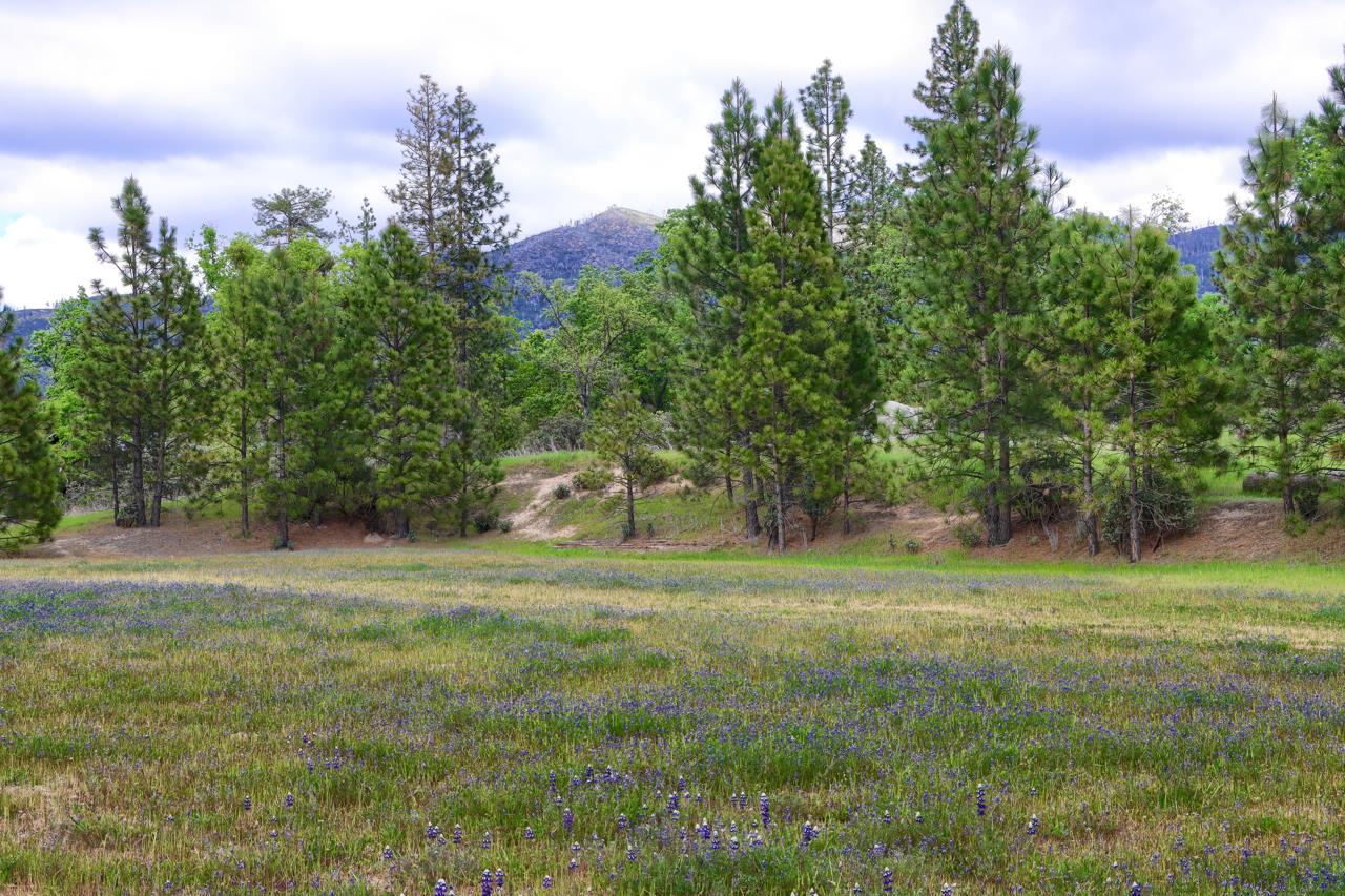 5027 Fox Creek Road Mariposa, CA 95338 - Photo 63 of 81