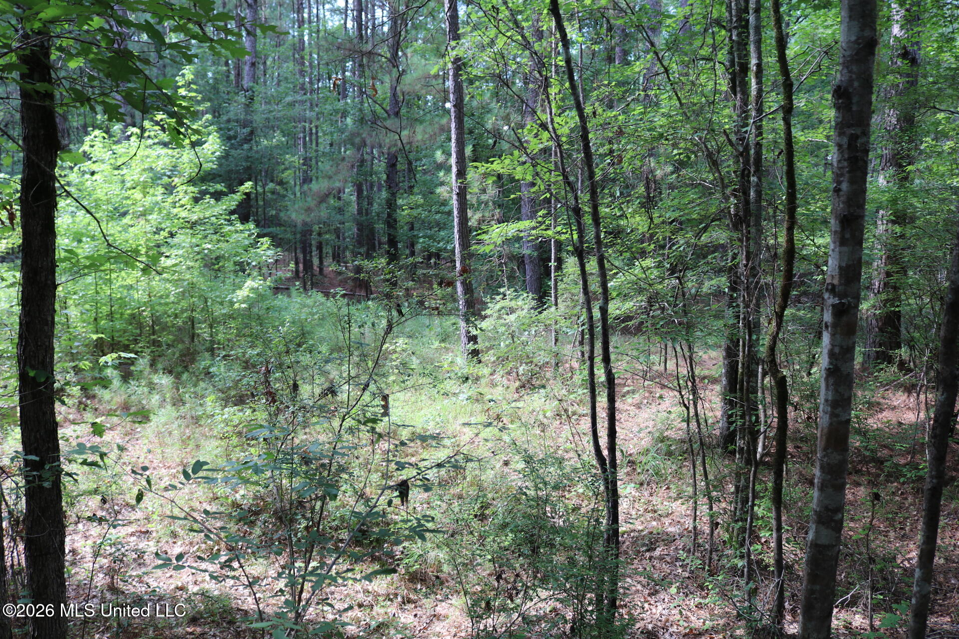 2026 Stump Bridge Road Camden, MS 39045 - Photo 5 of 18 IMG_5678