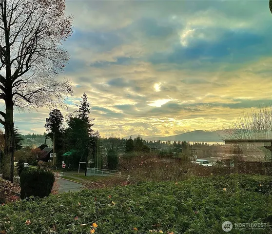 a view of a lake with a yard