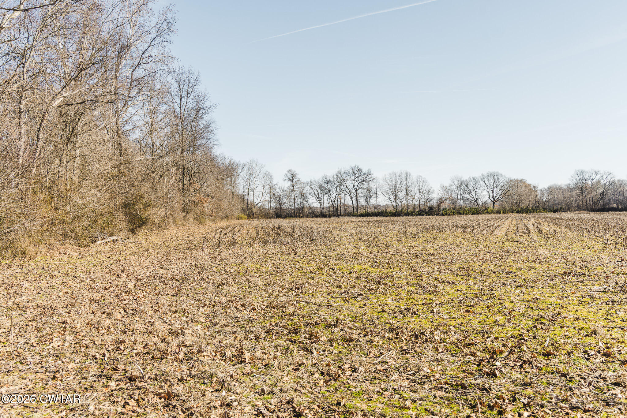 0 Rambo Road Sharon, TN 38255 - Photo 11 of 36 FT8A9222