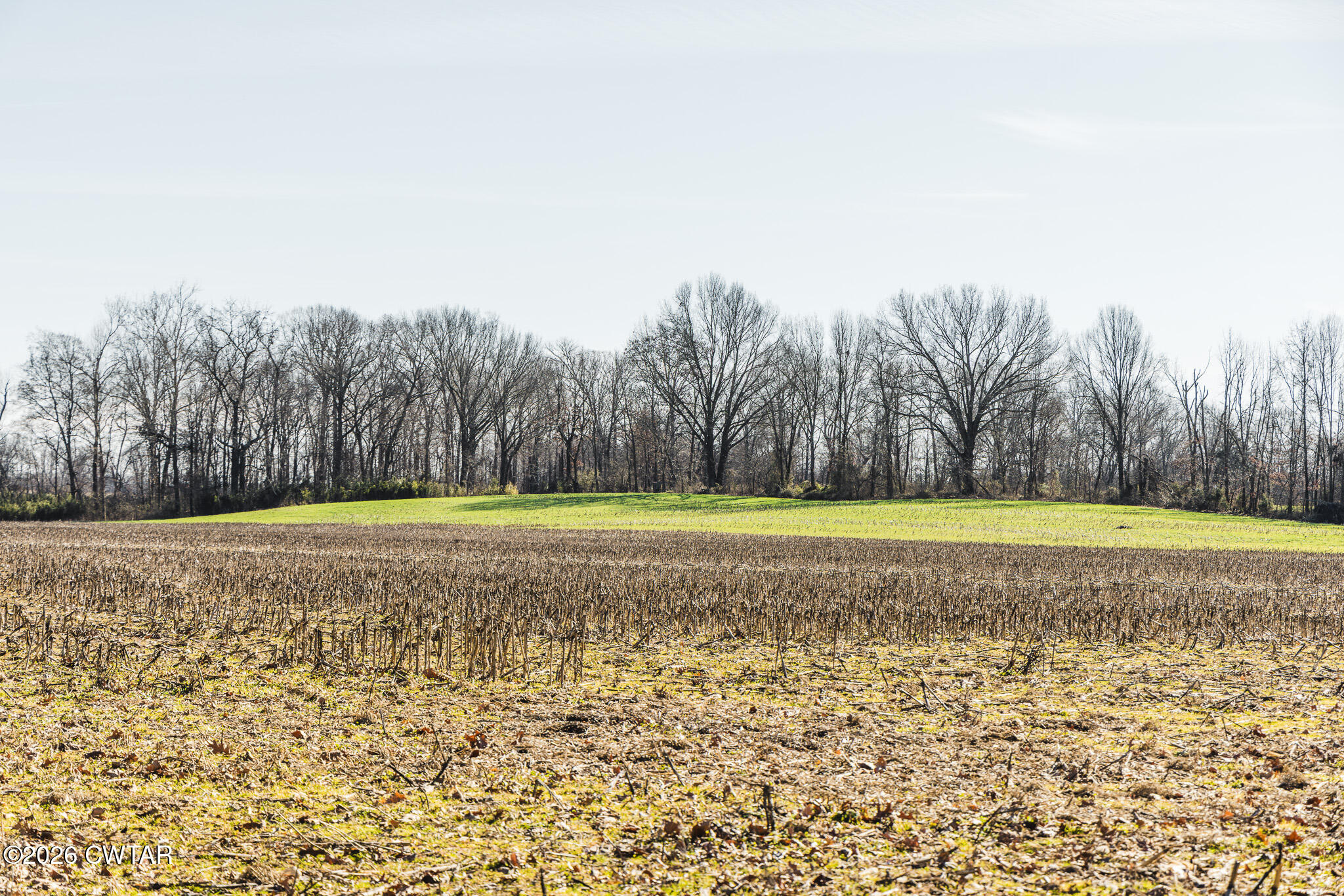 0 Rambo Road Sharon, TN 38255 - Photo 12 of 36 FT8A9225