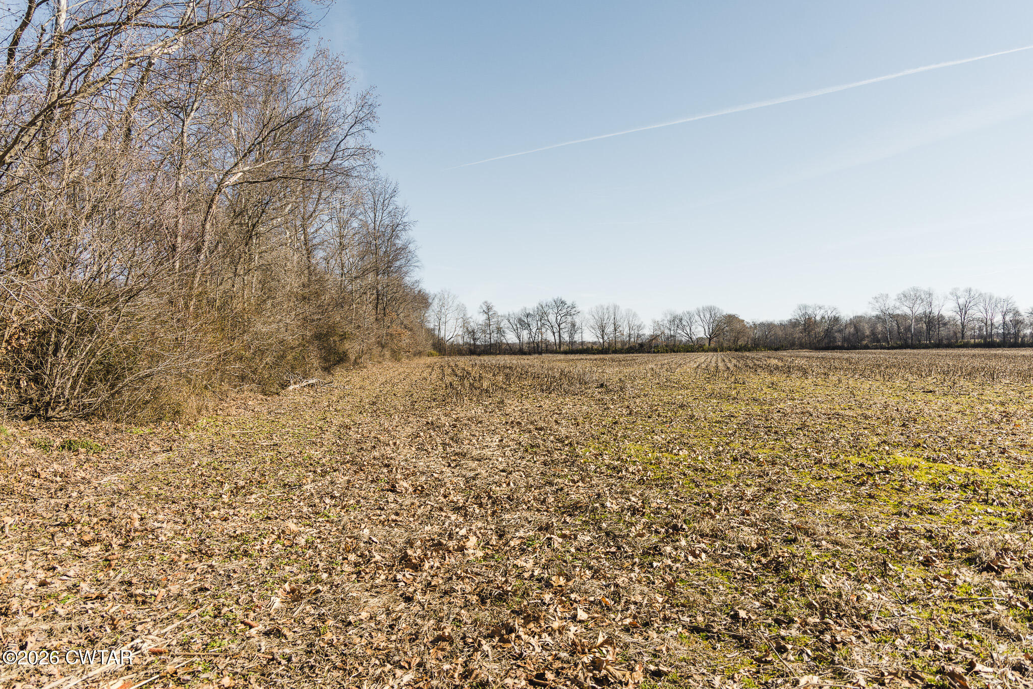 0 Rambo Road Sharon, TN 38255 - Photo 13 of 36 FT8A9226