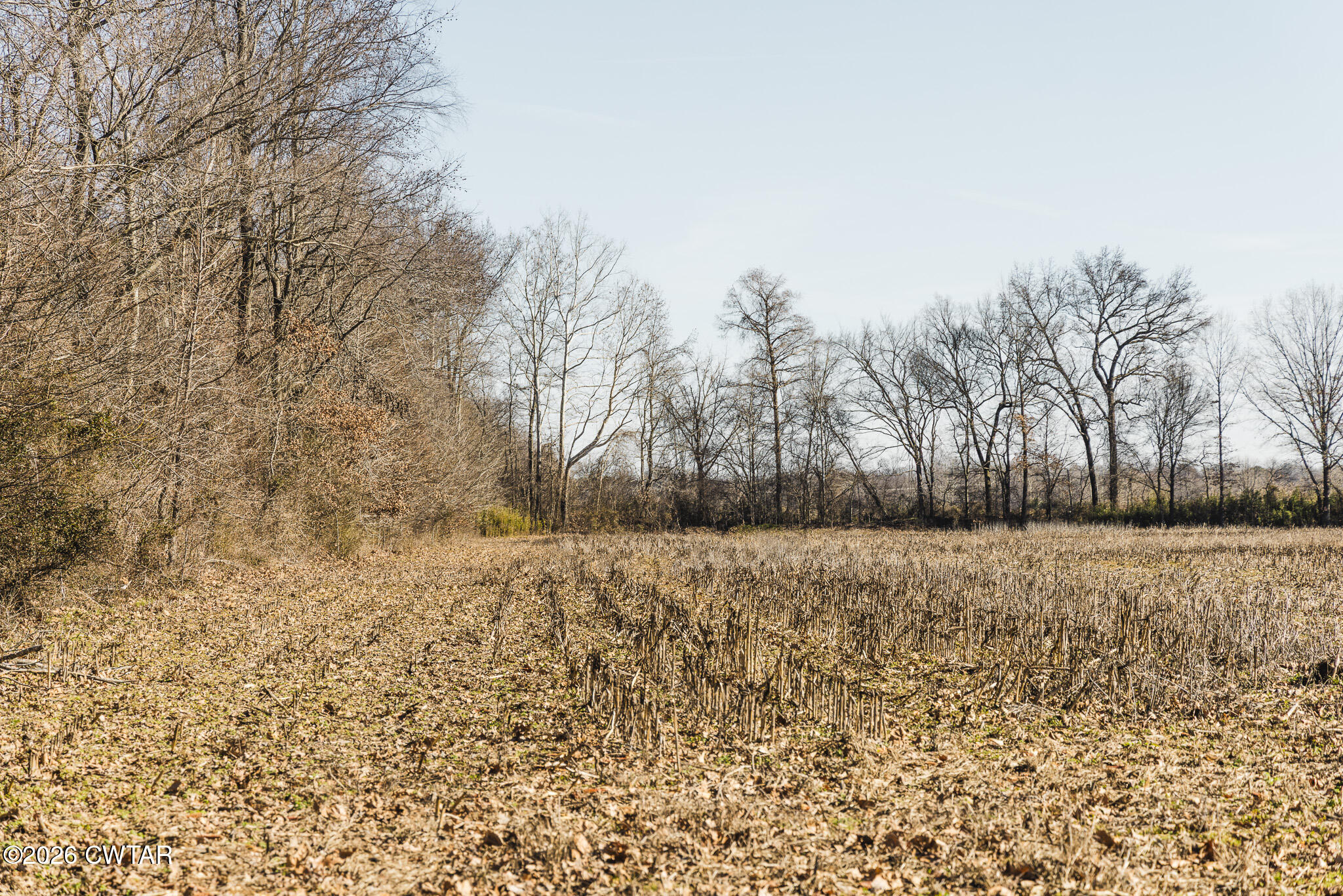 0 Rambo Road Sharon, TN 38255 - Photo 14 of 36 FT8A9227