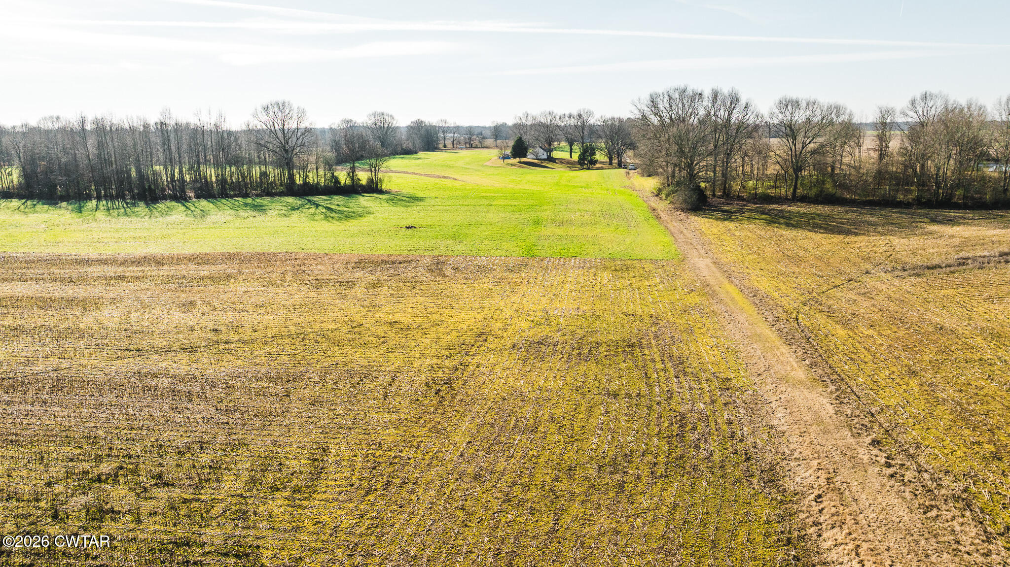 0 Rambo Road Sharon, TN 38255 - Photo 17 of 36 DJI_20260122100247_0006_D