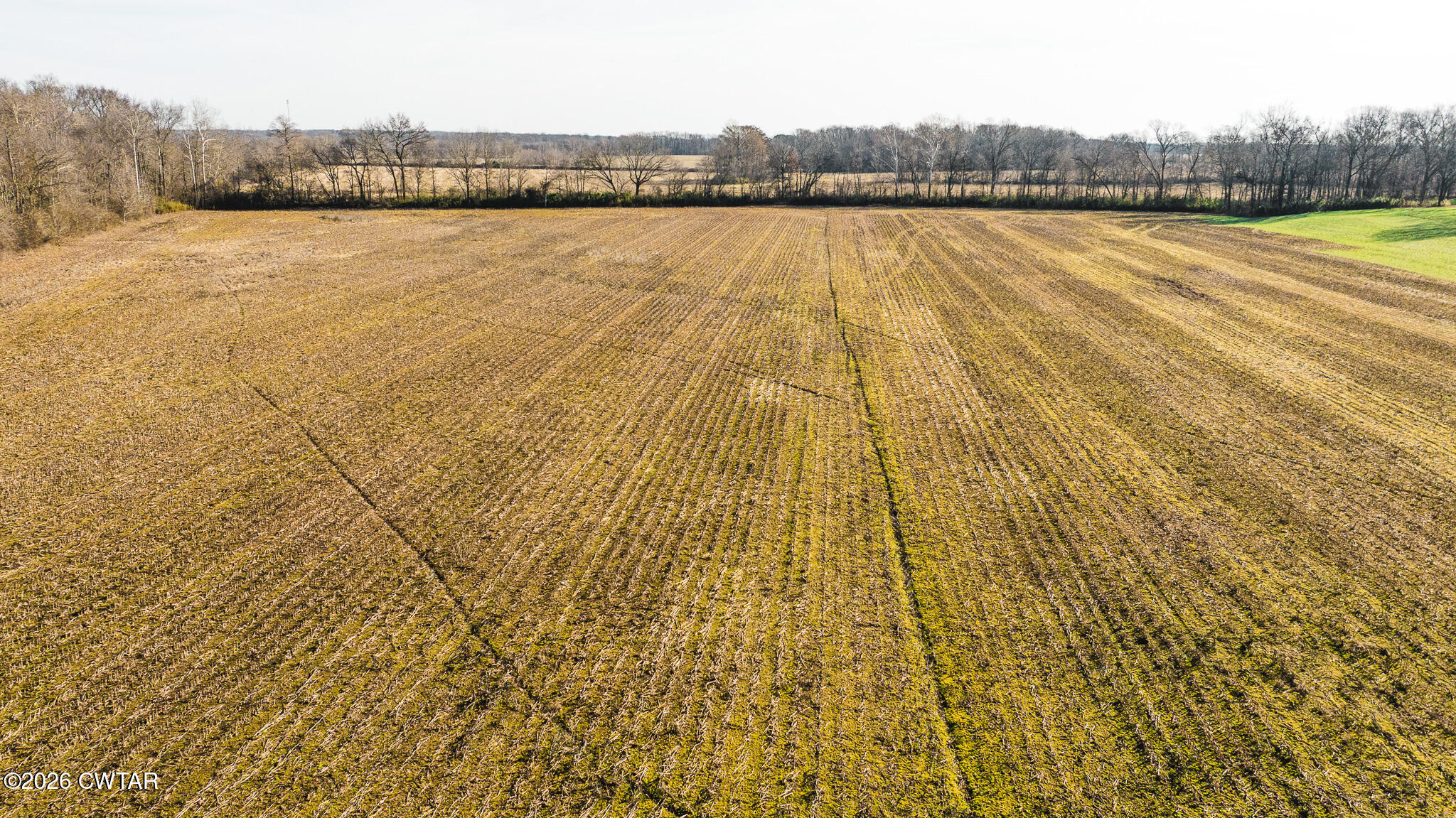 0 Rambo Road Sharon, TN 38255 - Photo 18 of 36 DJI_20260122100301_0007_D