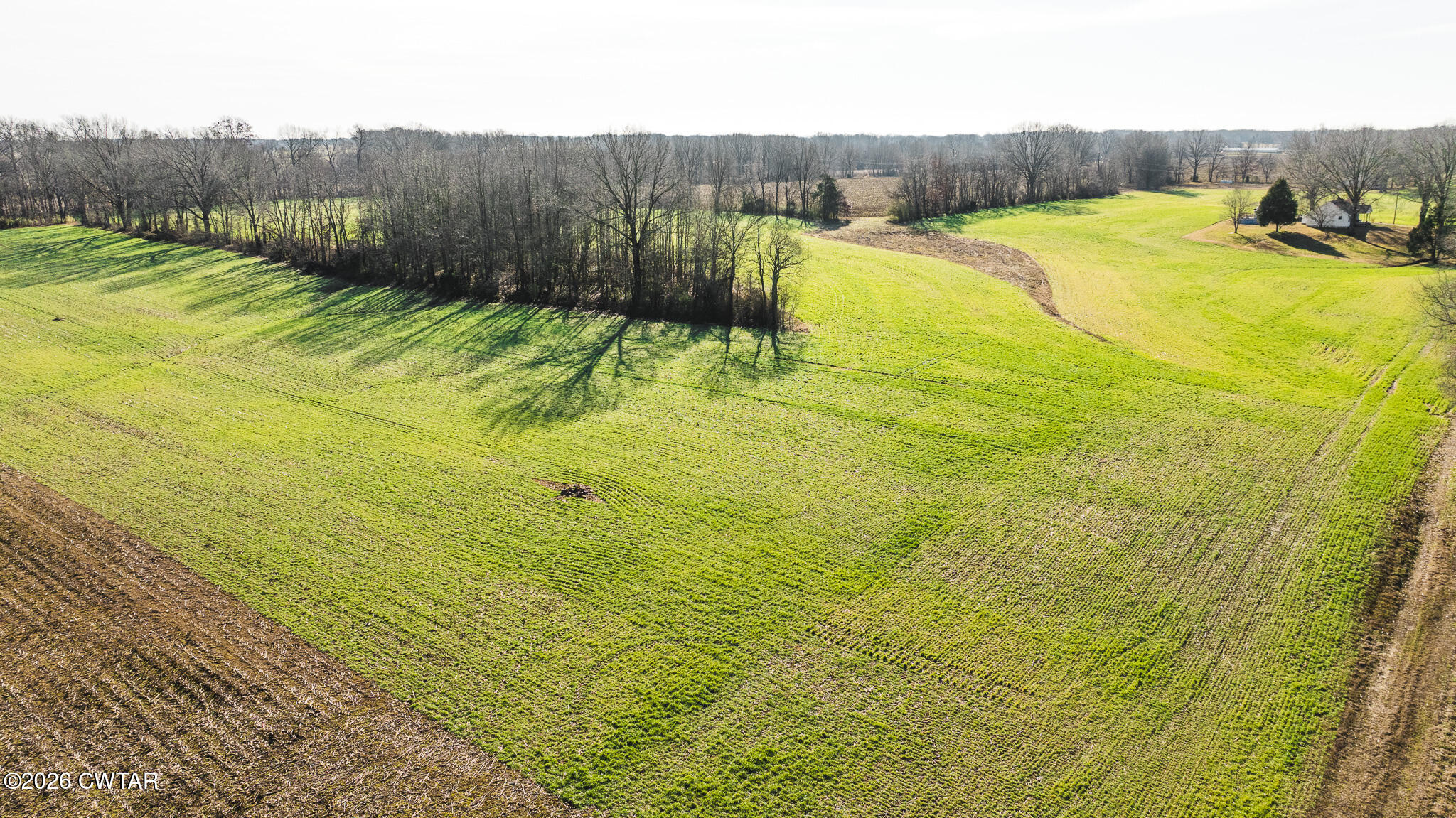 0 Rambo Road Sharon, TN 38255 - Photo 19 of 36 DJI_20260122100318_0008_D