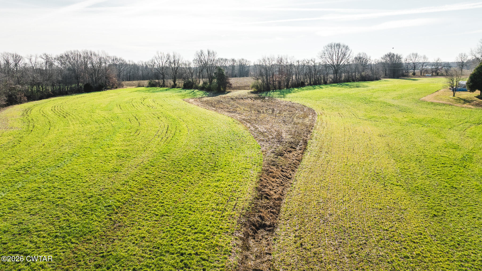 0 Rambo Road Sharon, TN 38255 - Photo 21 of 36 DJI_20260122100339_0010_D
