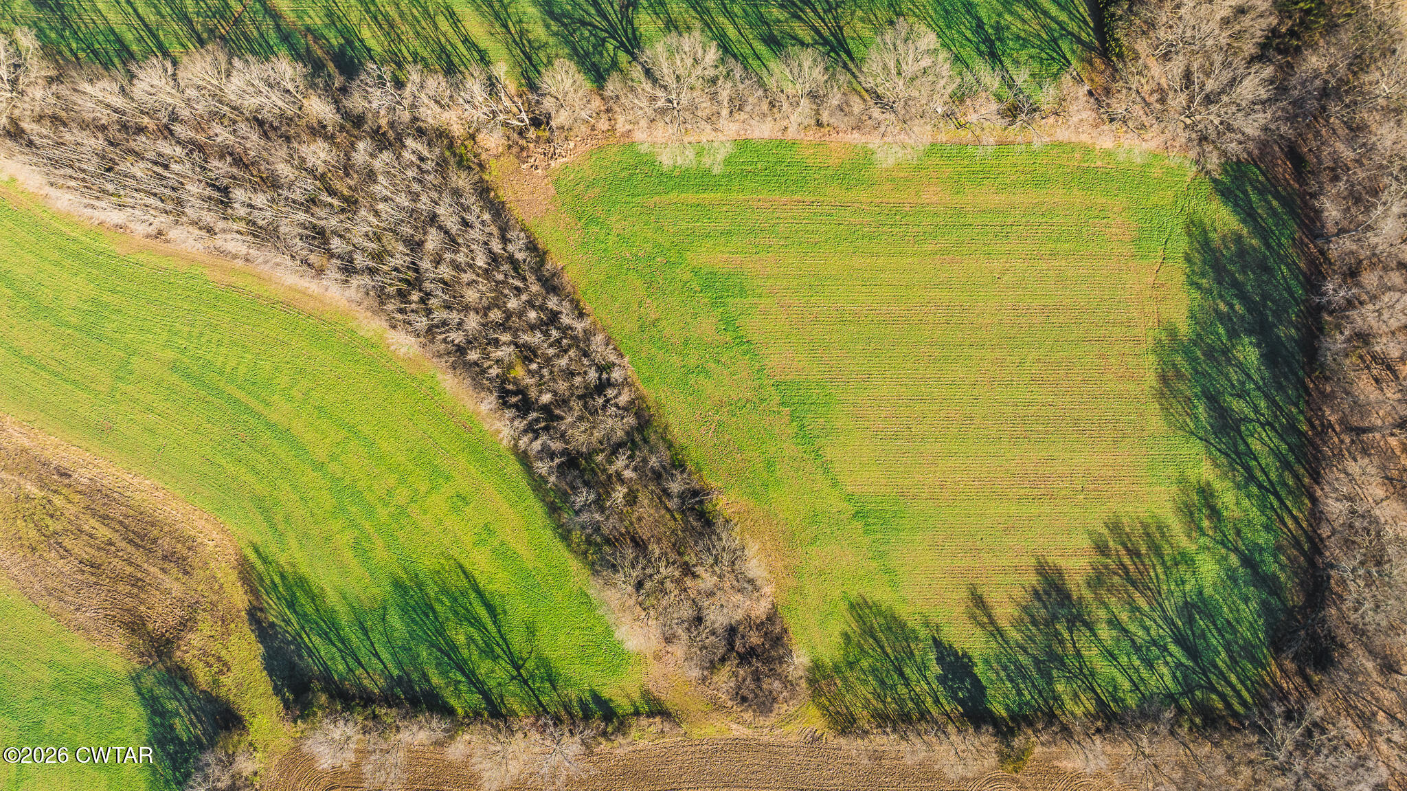 0 Rambo Road Sharon, TN 38255 - Photo 29 of 36 DJI_20260122100804_0019_D