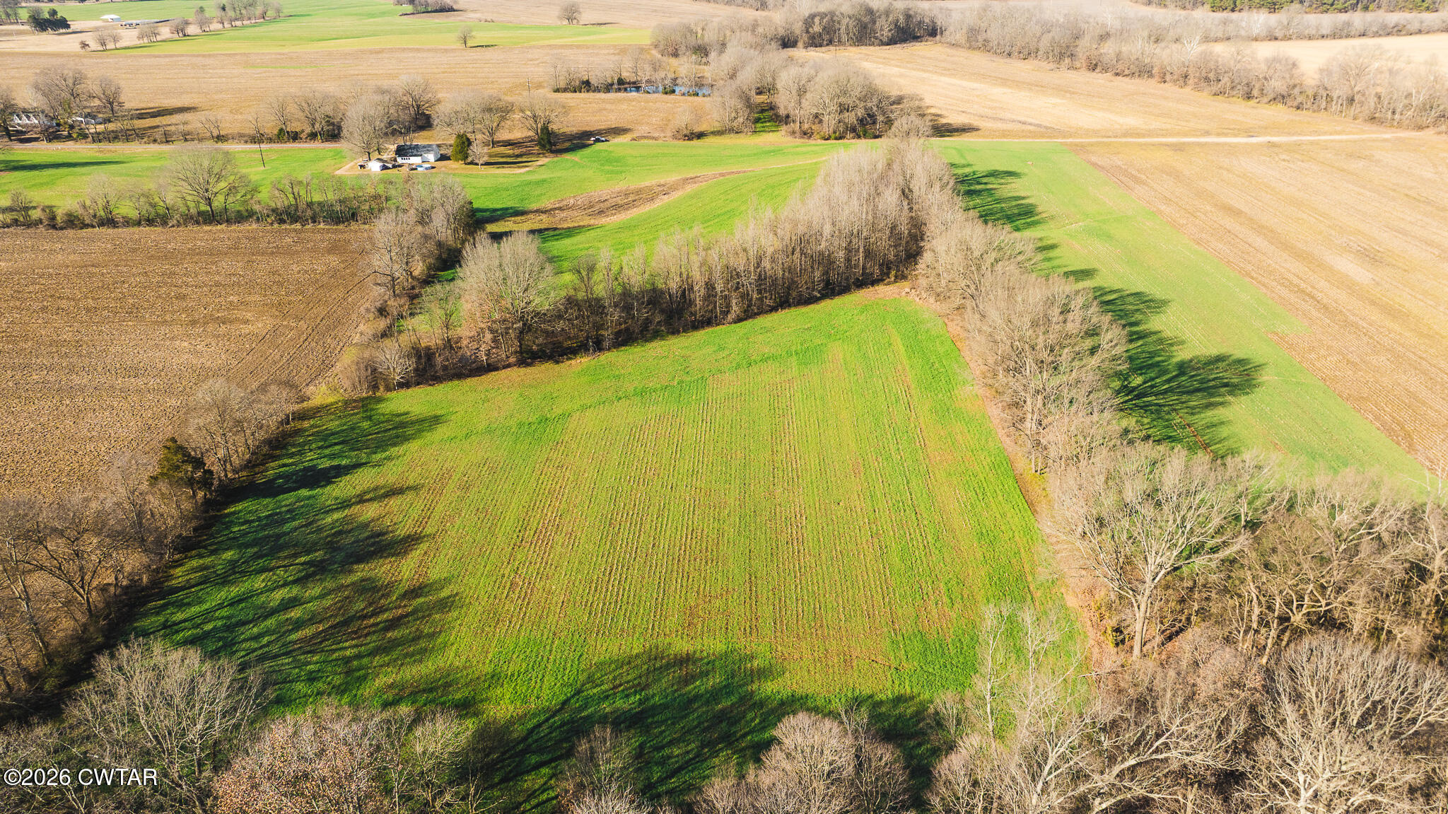 0 Rambo Road Sharon, TN 38255 - Photo 30 of 36 DJI_20260122100855_0020_D