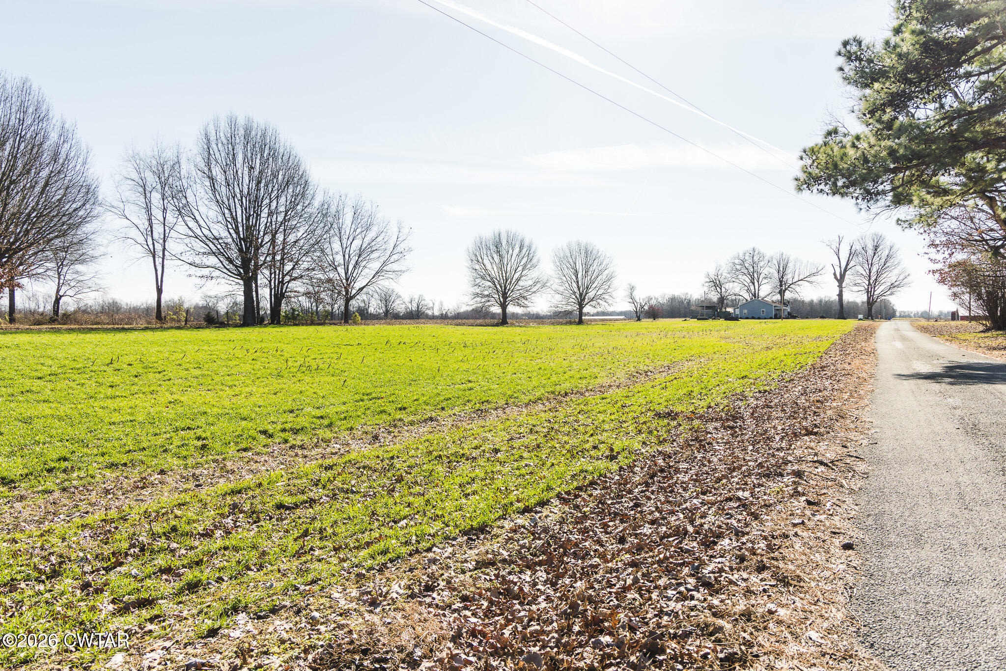 0 Rambo Road Sharon, TN 38255 - Photo 3 of 36 FT8A9208