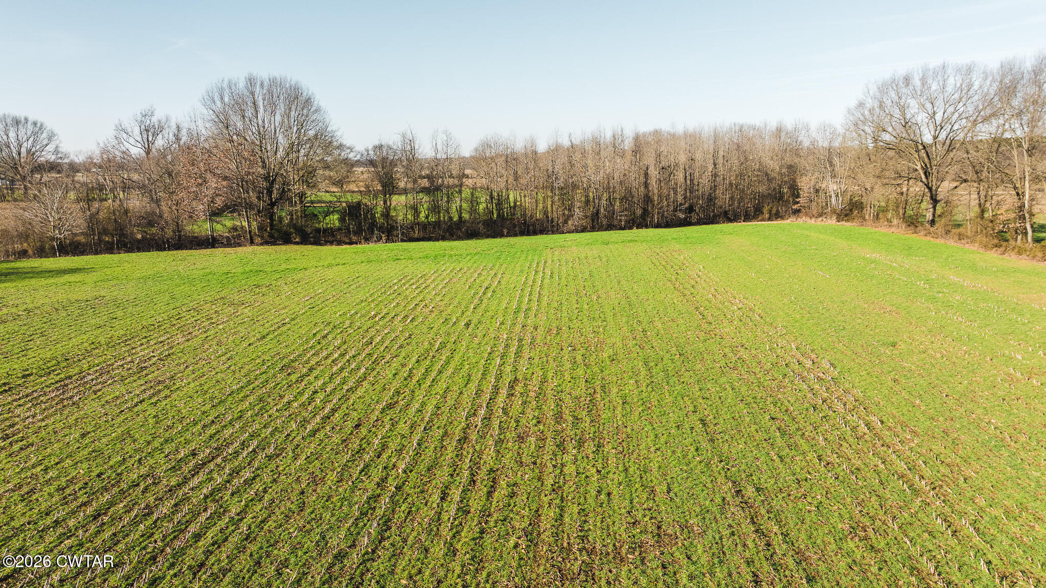 0 Rambo Road Sharon, TN 38255 - Photo 31 of 36 DJI_20260122100922_0021_D