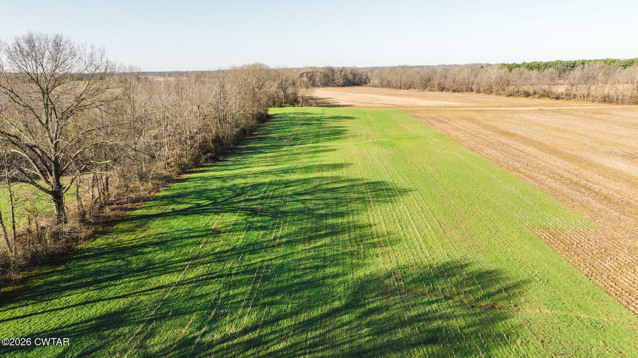 0 Rambo Road Sharon, TN 38255 - Photo 33 of 36 DJI_20260122101029_0023_D