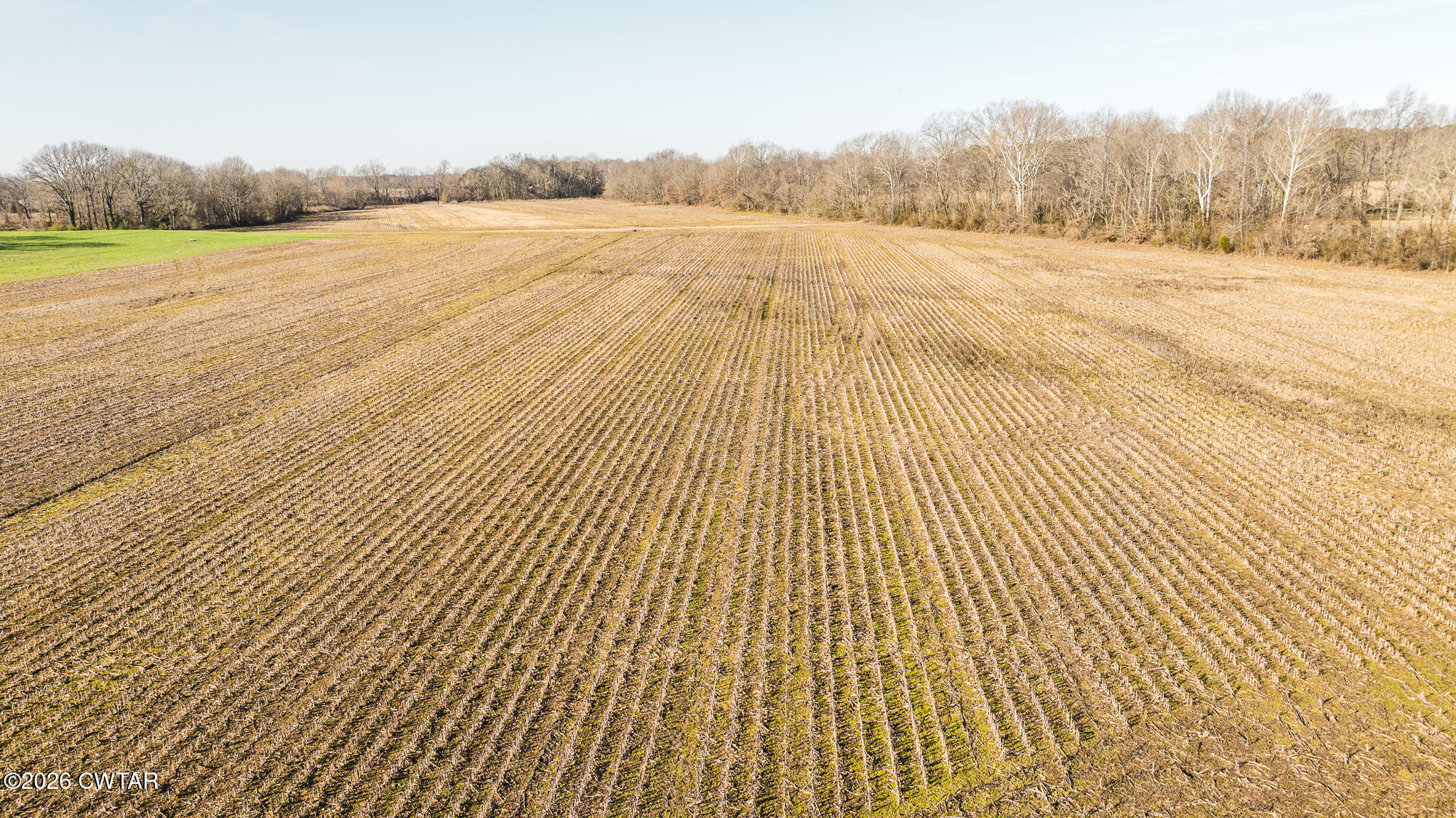 0 Rambo Road Sharon, TN 38255 - Photo 34 of 36 DJI_20260122101049_0024_D