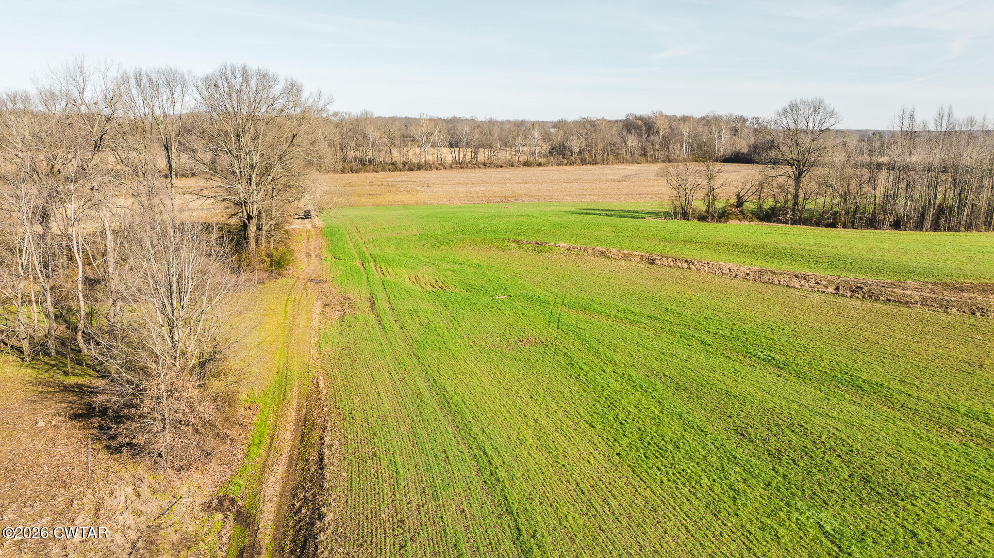 0 Rambo Road Sharon, TN 38255 - Photo 36 of 36 DJI_20260122101223_0027_D
