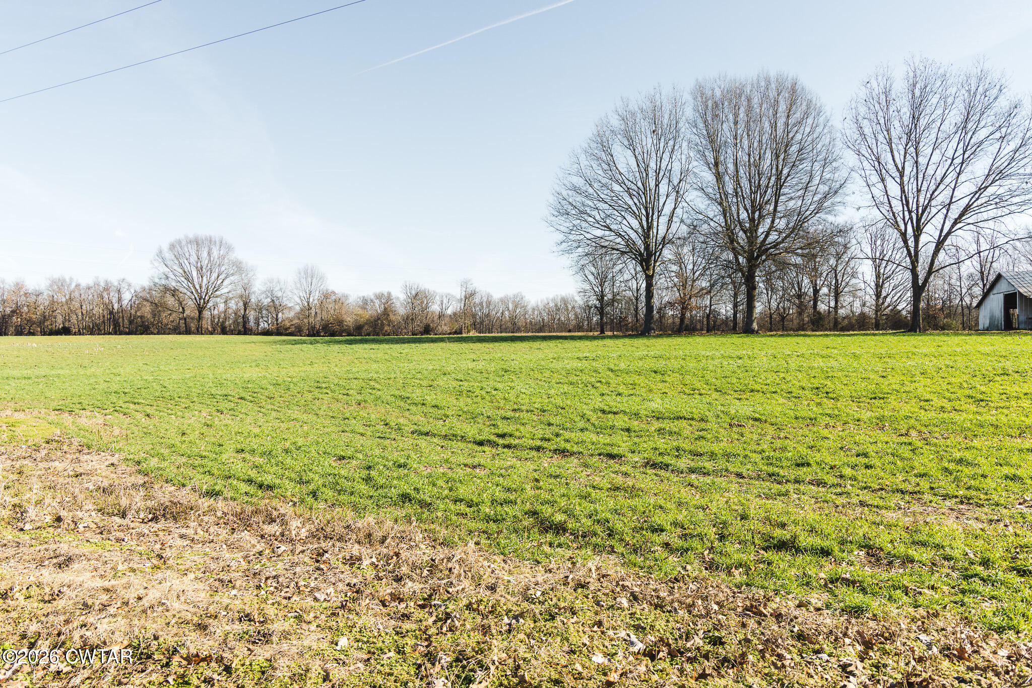 0 Rambo Road Sharon, TN 38255 - Photo 5 of 36 FT8A9212