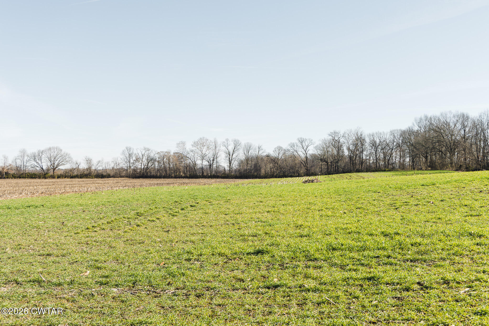 0 Rambo Road Sharon, TN 38255 - Photo 6 of 36 FT8A9215