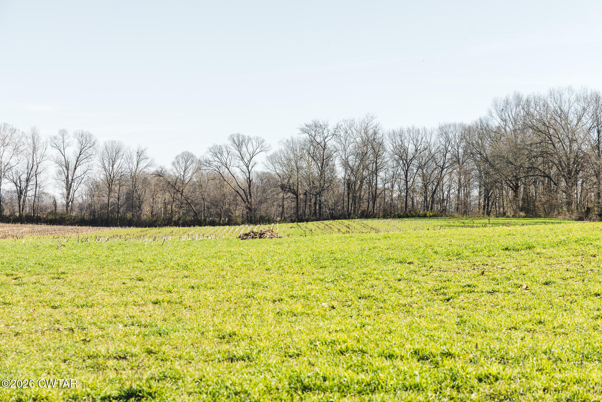 0 Rambo Road Sharon, TN 38255 - Photo 7 of 36 FT8A9216