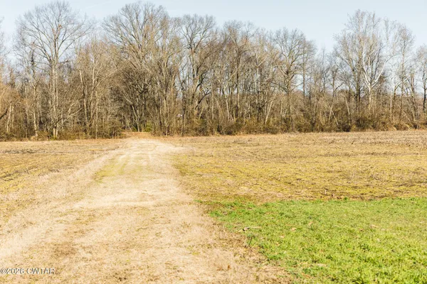 a view of empty space with trees