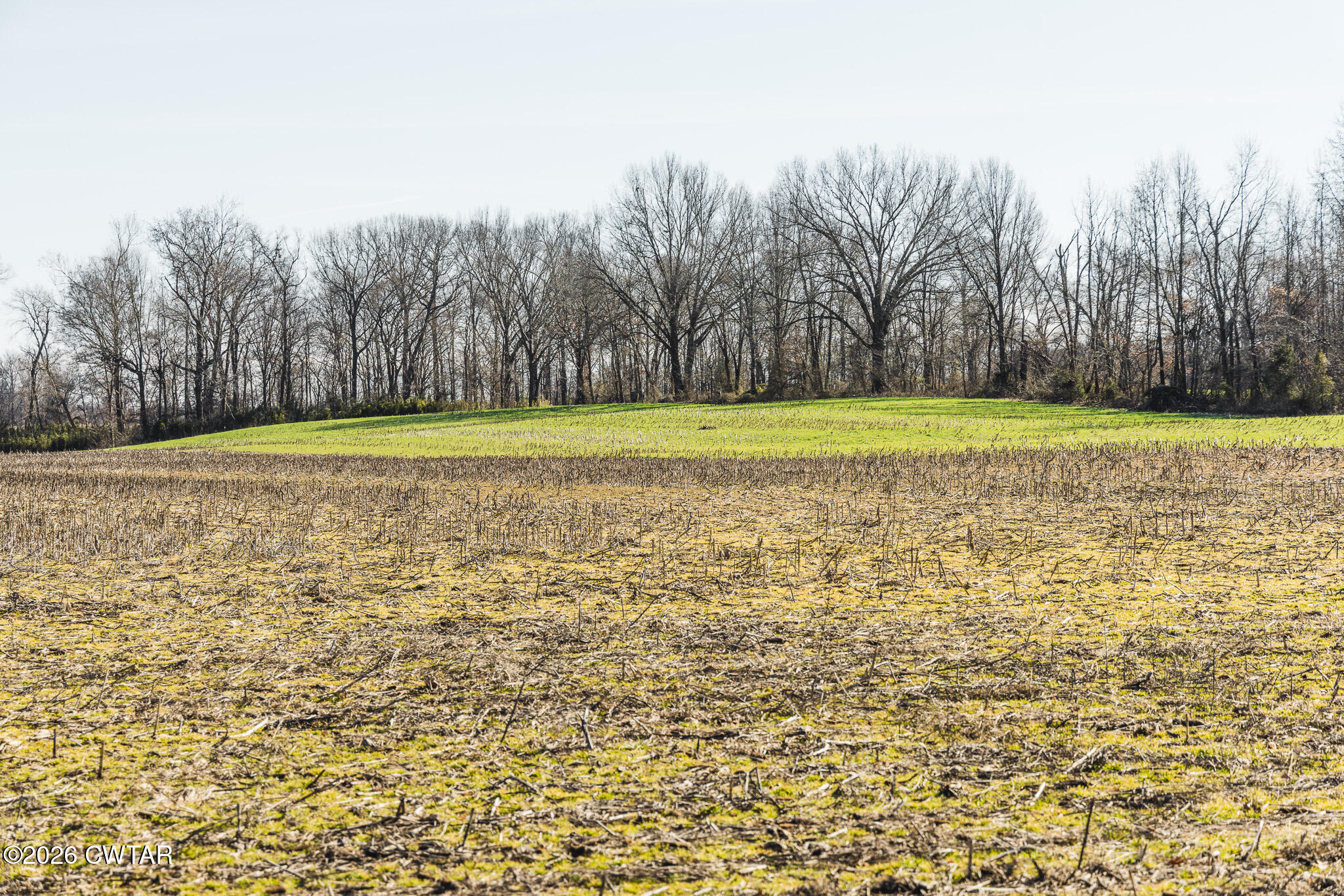 0 Rambo Road Sharon, TN 38255 - Photo 9 of 36 FT8A9219