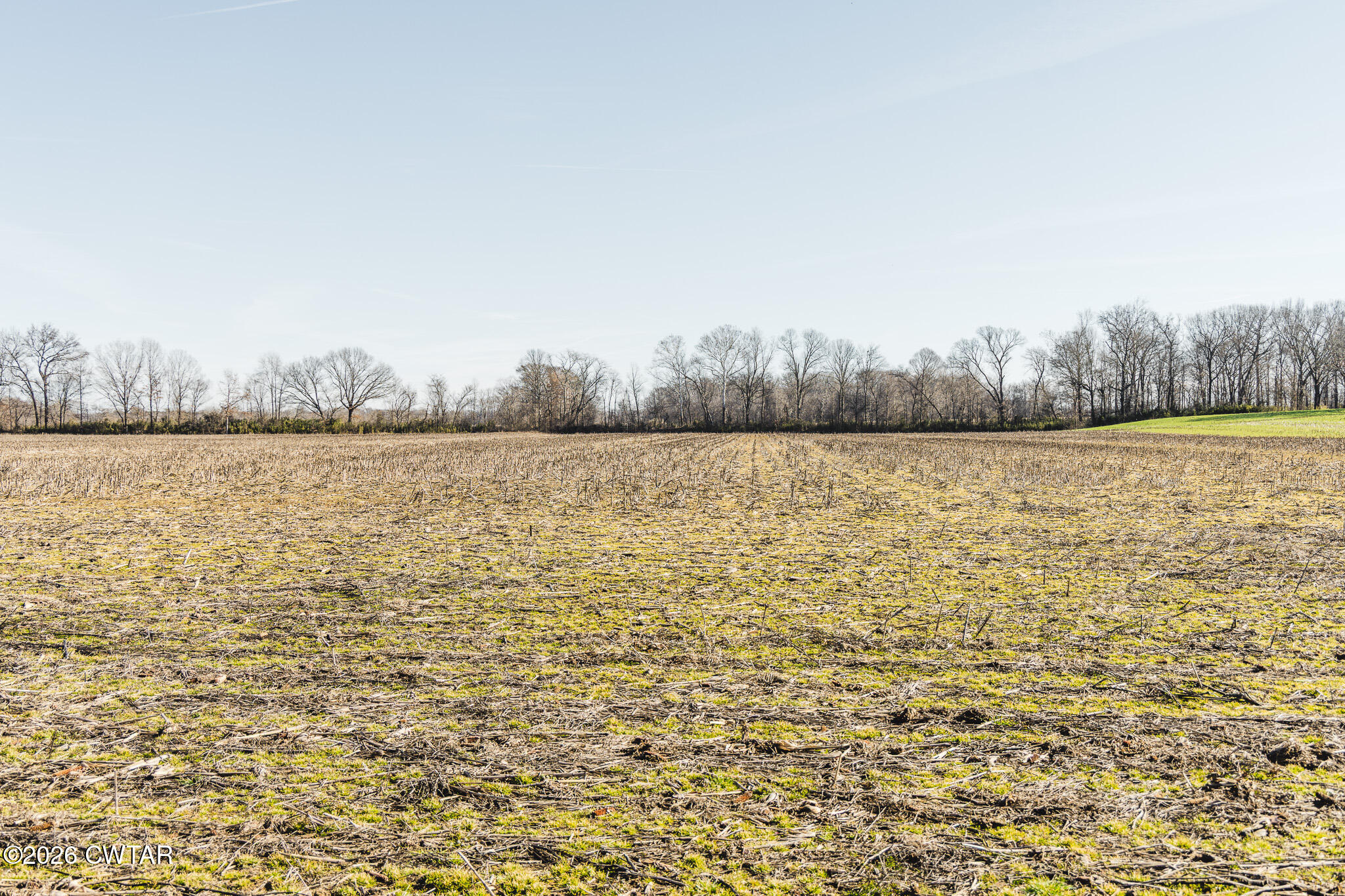 0 Rambo Road Sharon, TN 38255 - Photo 10 of 36 FT8A9221