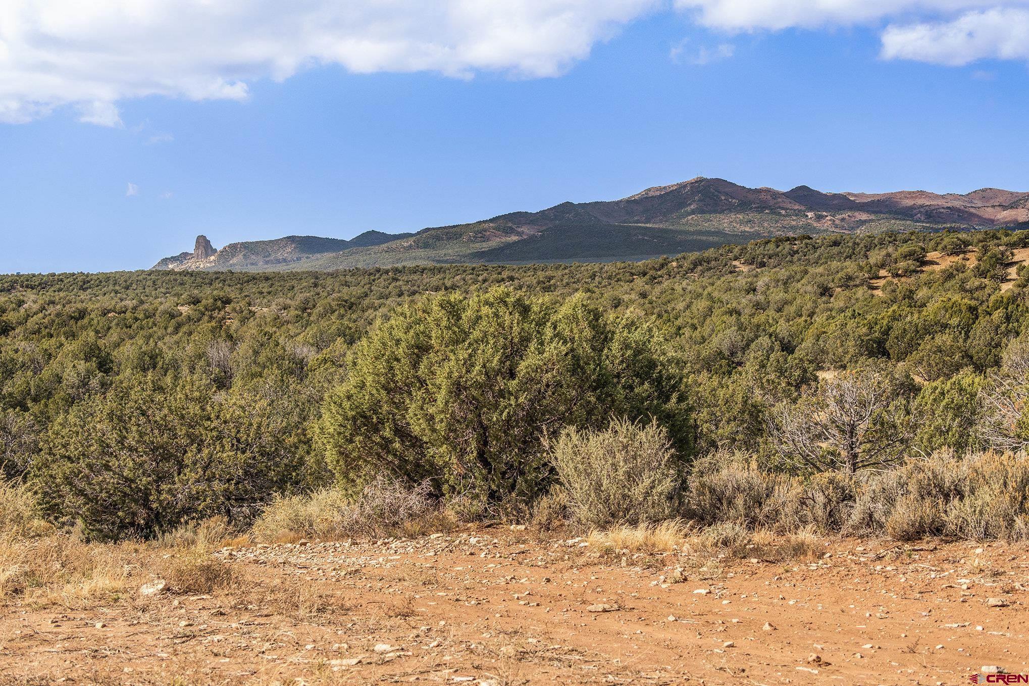 2997 20.5 Road Cortez, CO 81321 - Photo 3 of 27 Gallery Image 3