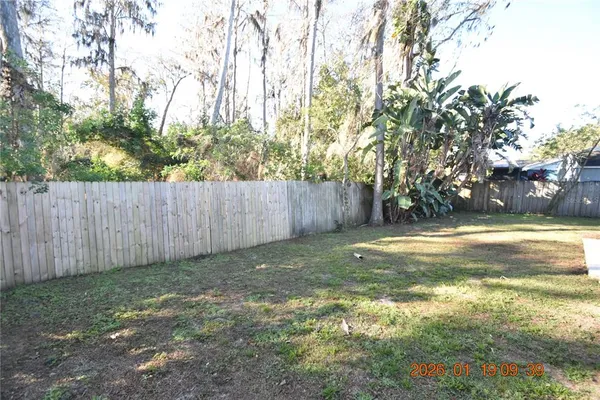 a view of a yard with large trees