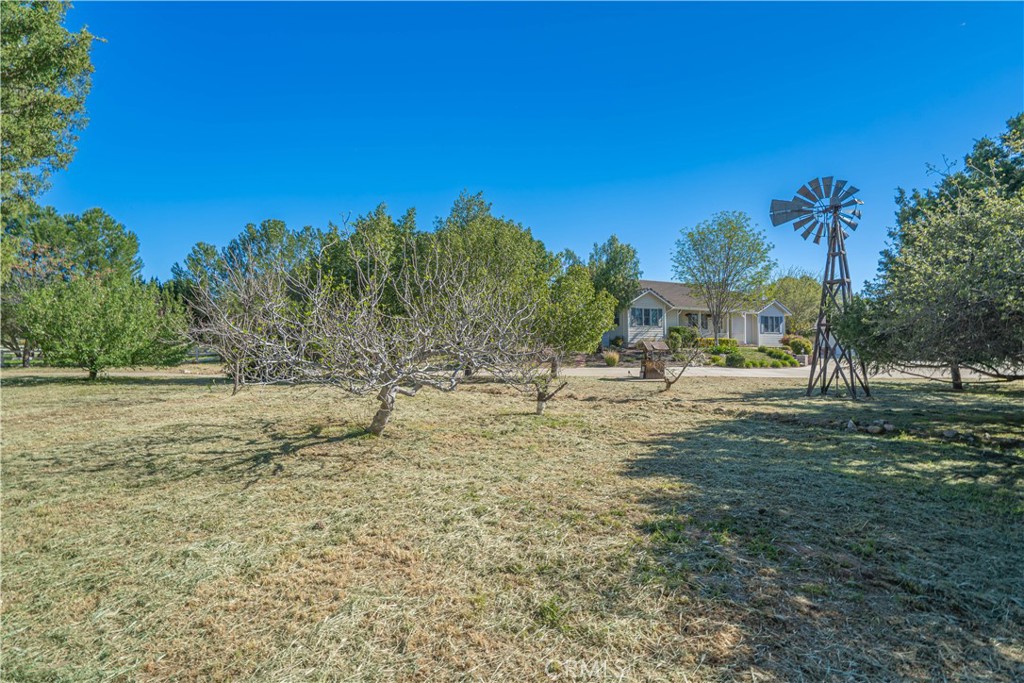 11340 Morgan Road Agua Dulce, CA 91390 - Photo 52 of 60 a view of outdoor space with trees all around