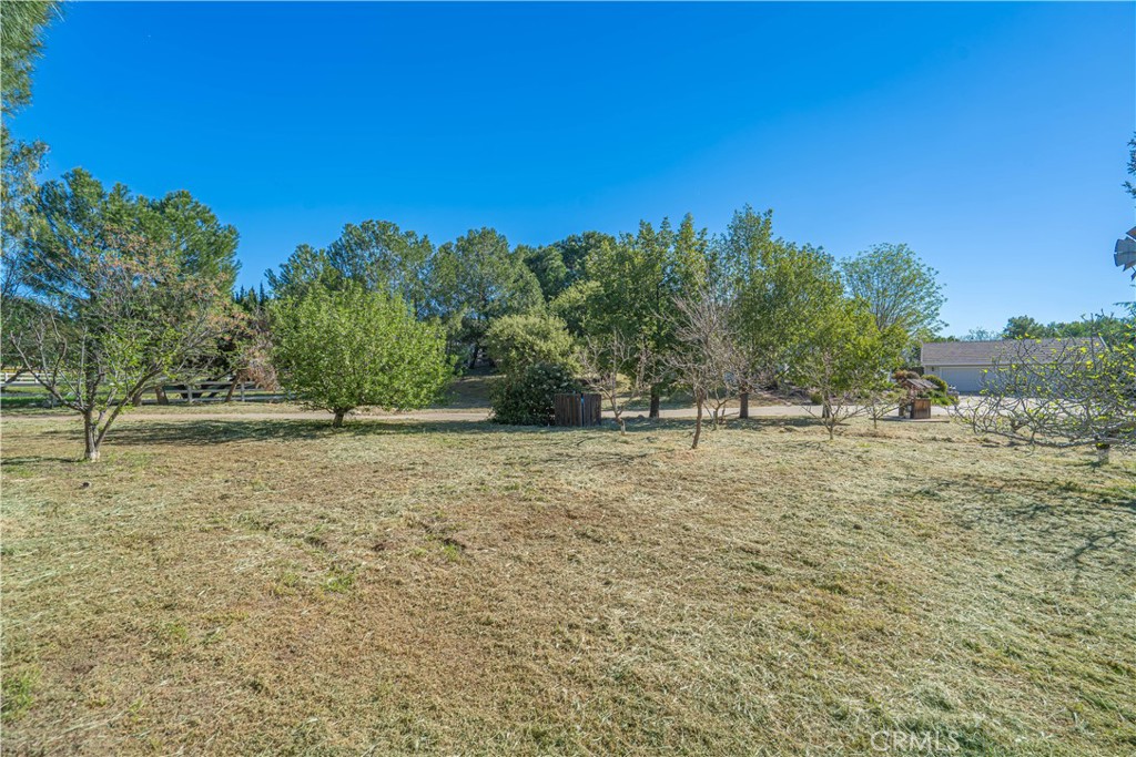 11340 Morgan Road Agua Dulce, CA 91390 - Photo 53 of 60 a view of a field with trees in the background