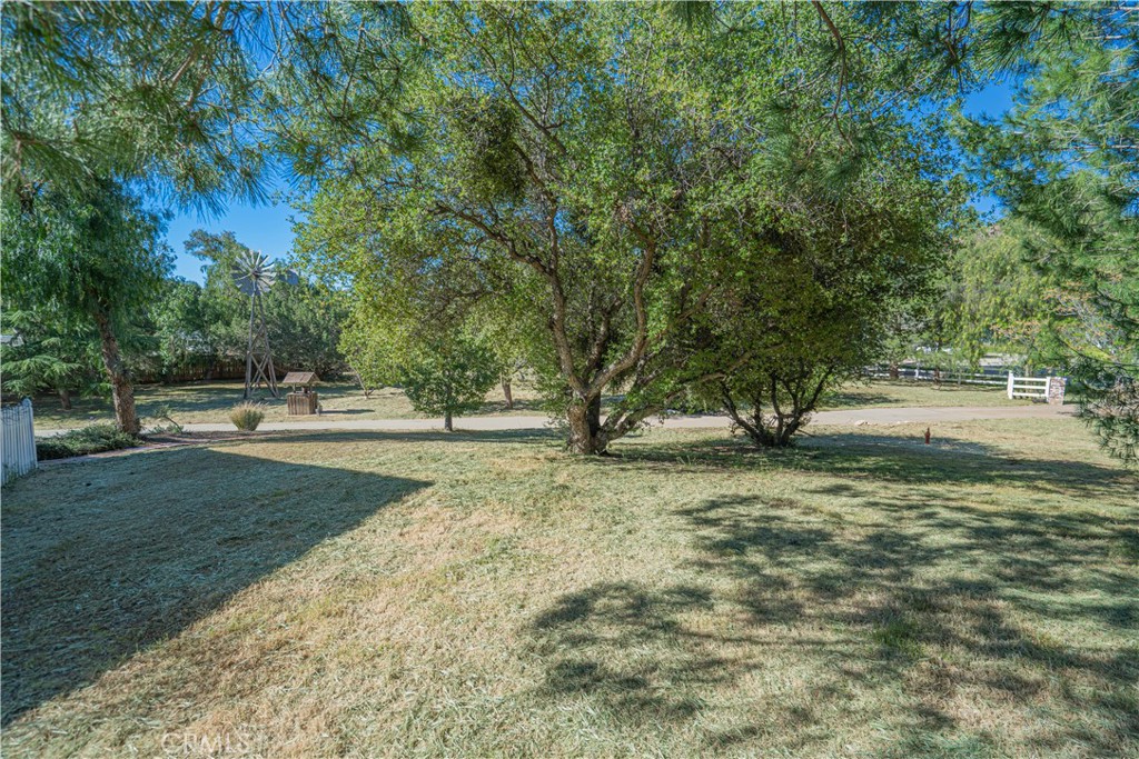 11340 Morgan Road Agua Dulce, CA 91390 - Photo 55 of 60 a view of yard with tree