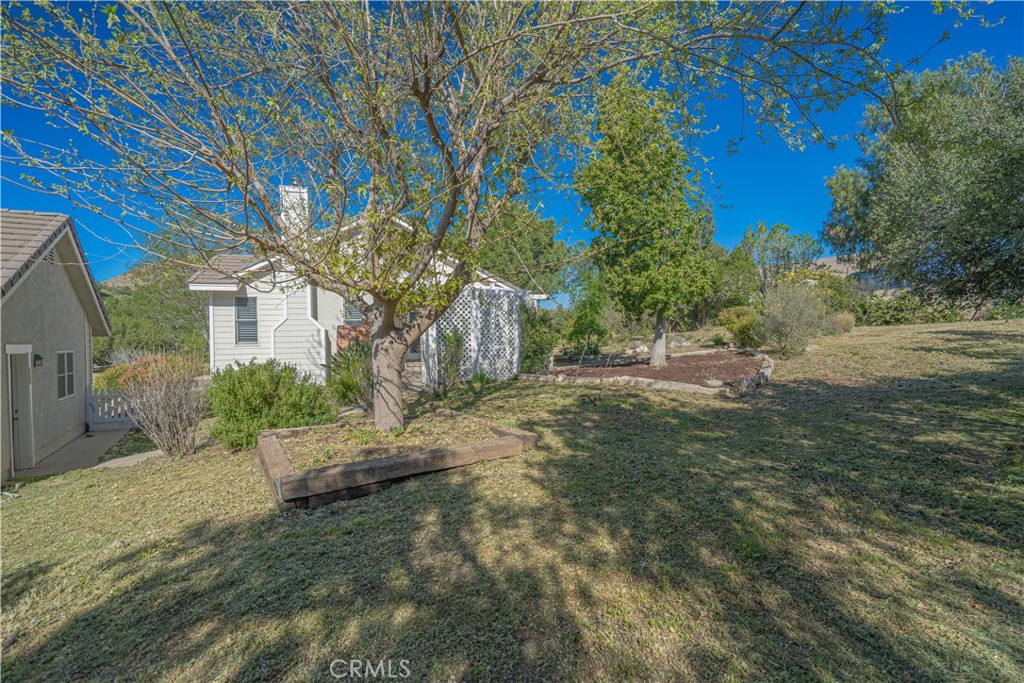 11340 Morgan Road Agua Dulce, CA 91390 - Photo 60 of 60 a view of a yard with plants and a large tree