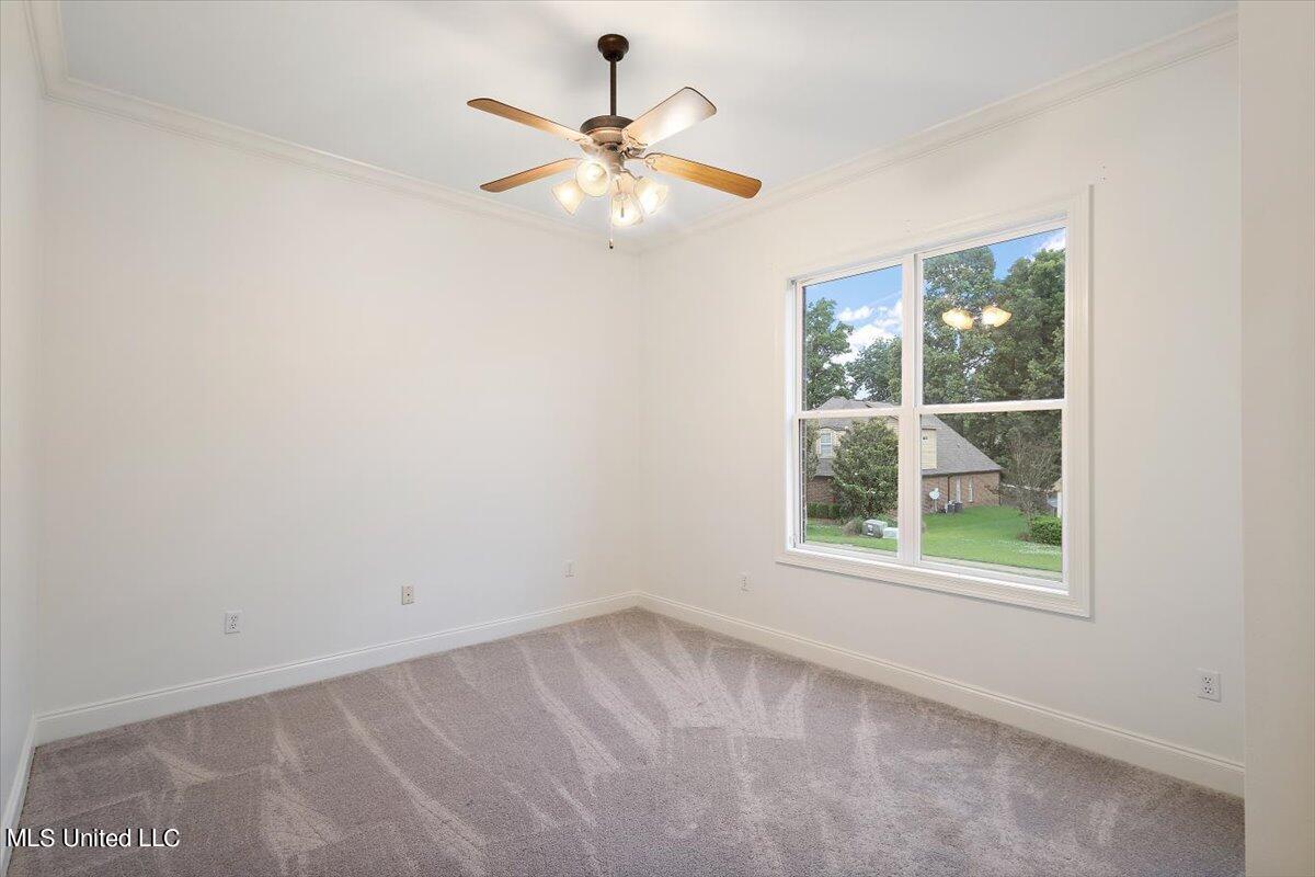 121 Muscadine Path Madison, MS 39110 - Photo 20 of 28 21-HTP_6397