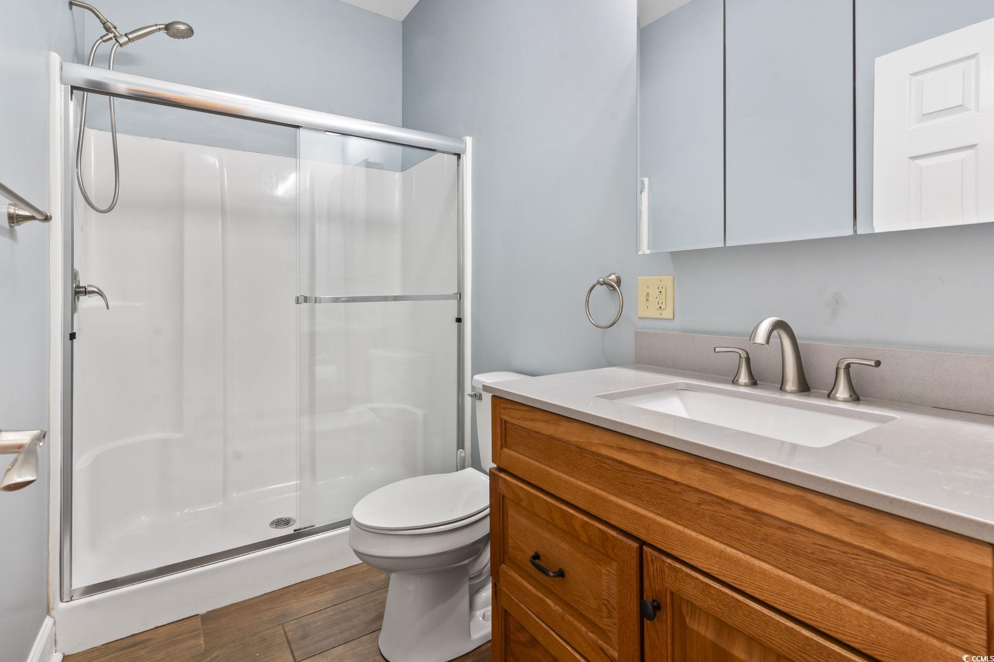1585 Daisy Road Loris, SC 29569 - Photo 21 of 39 Bathroom with a stall shower, vanity, and dark wood finished floors