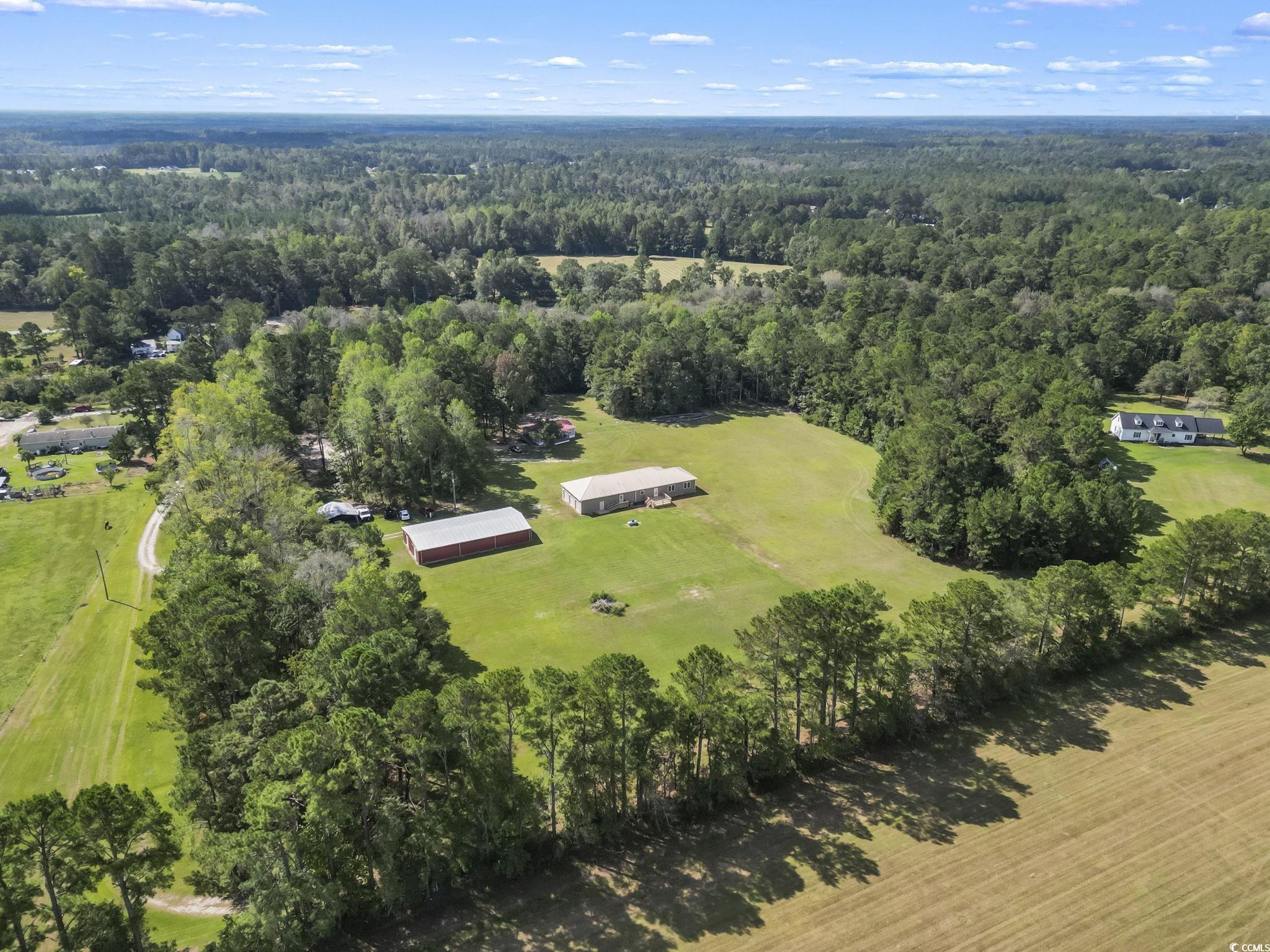 1585 Daisy Road Loris, SC 29569 - Photo 6 of 39 View of property location featuring a heavily wooded area