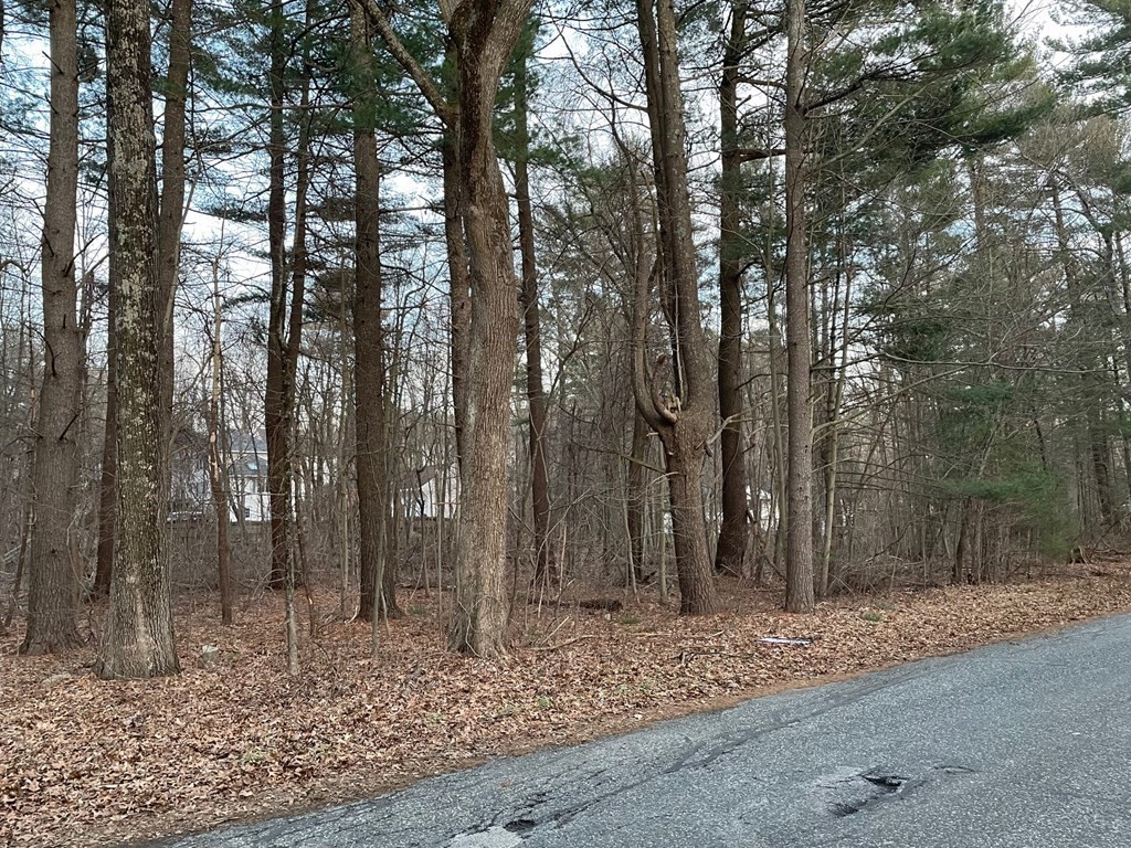 45 Stone School Road Sutton, MA 01590 - Photo 5 of 6