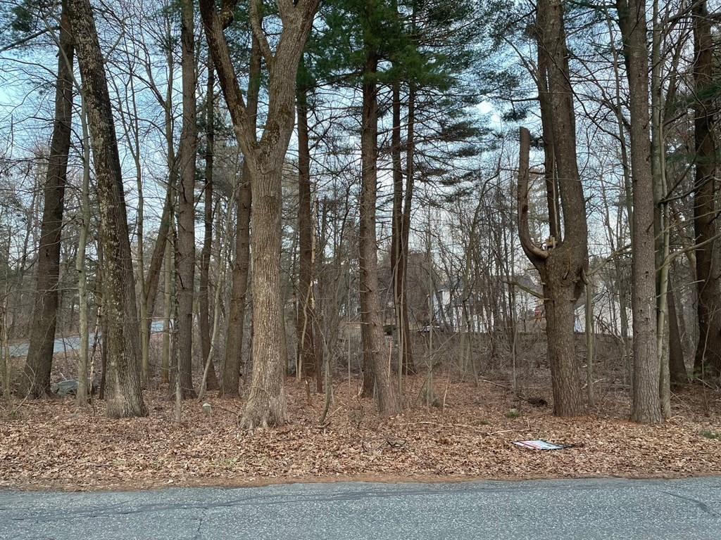 45 Stone School Road Sutton, MA 01590 - Photo 6 of 6