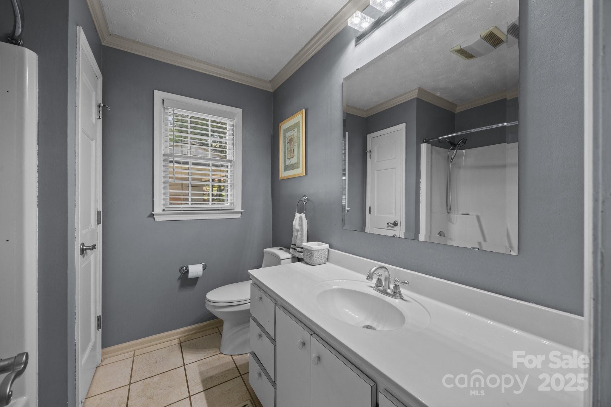 1017 Holloway Church Road Lexington, NC 27292 - Photo 19 of 48 a bathroom with a sink a toilet and a mirror