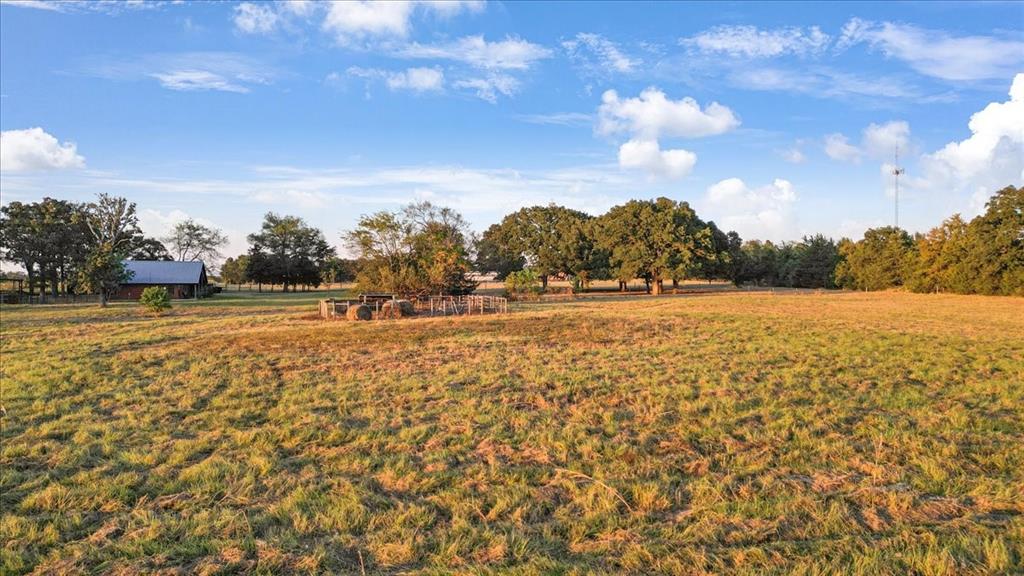 1809 County Road Winnsboro, TX 75494 - Photo 29 of 39 a view of outdoor space with trees all around