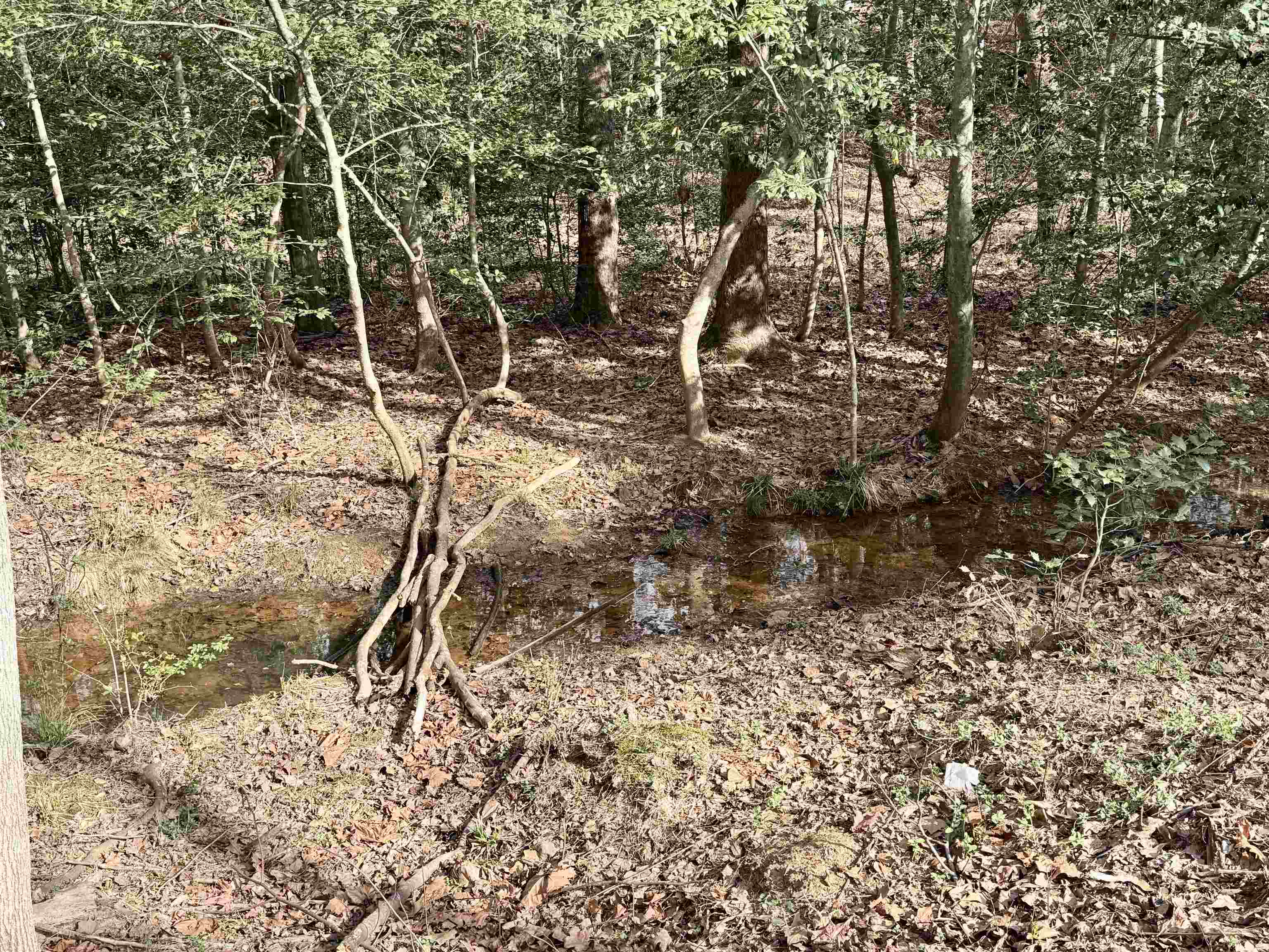 121 Mill Pond Road Easley, SC 29642 - Photo 29 of 35