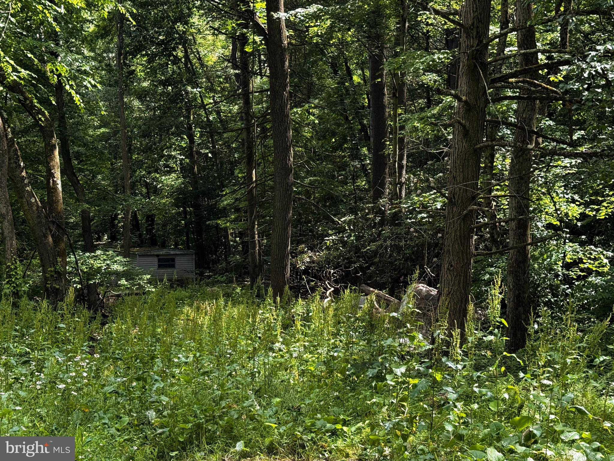 281 Whetstone Run Julian, PA 16844 - Photo 12 of 33