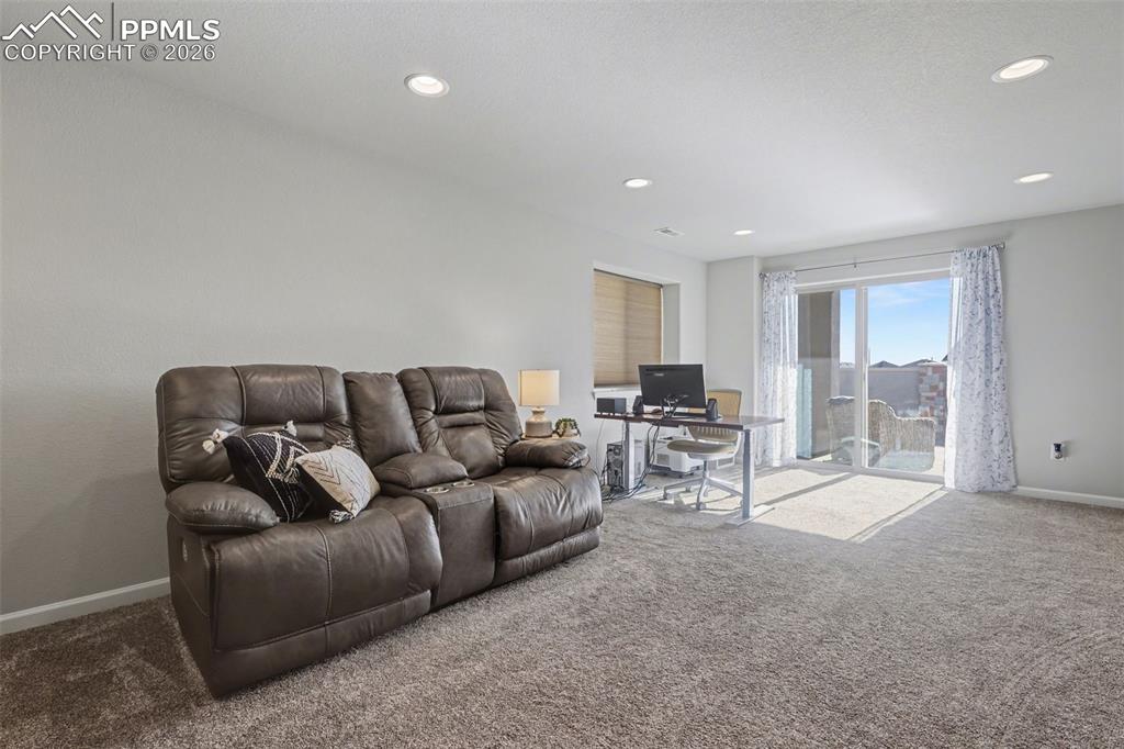 4371 Hessite Loop Colorado Springs, CO 80938 - Photo 17 of 23