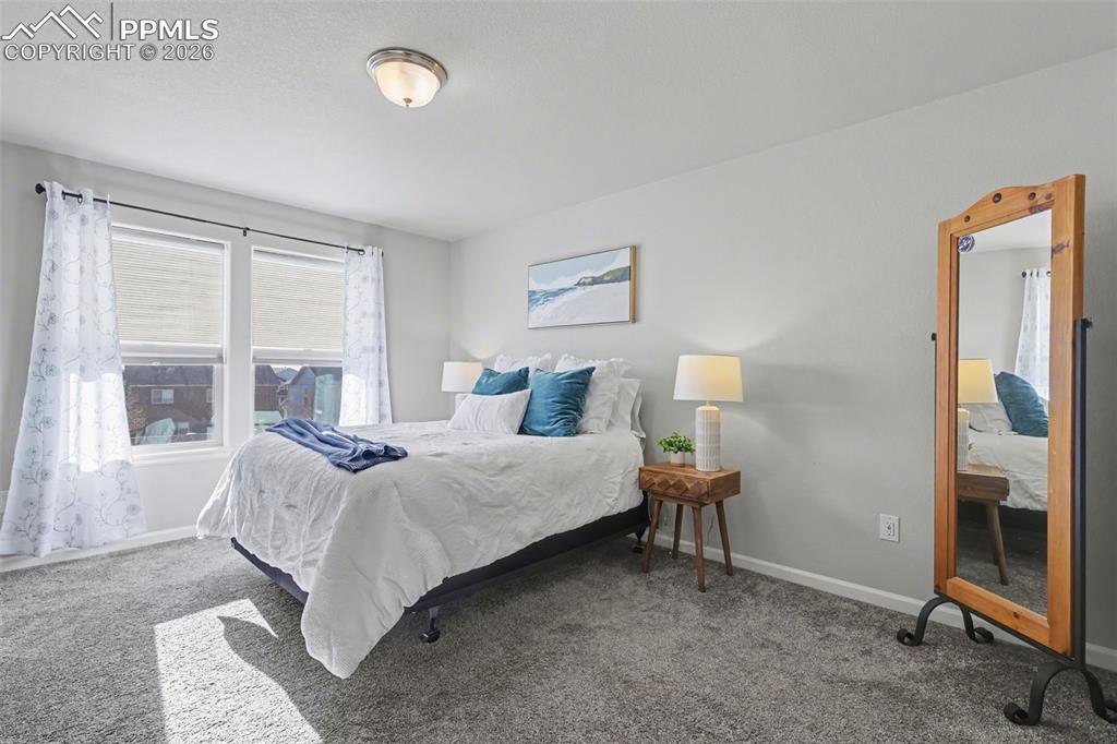 4371 Hessite Loop Colorado Springs, CO 80938 - Photo 9 of 23