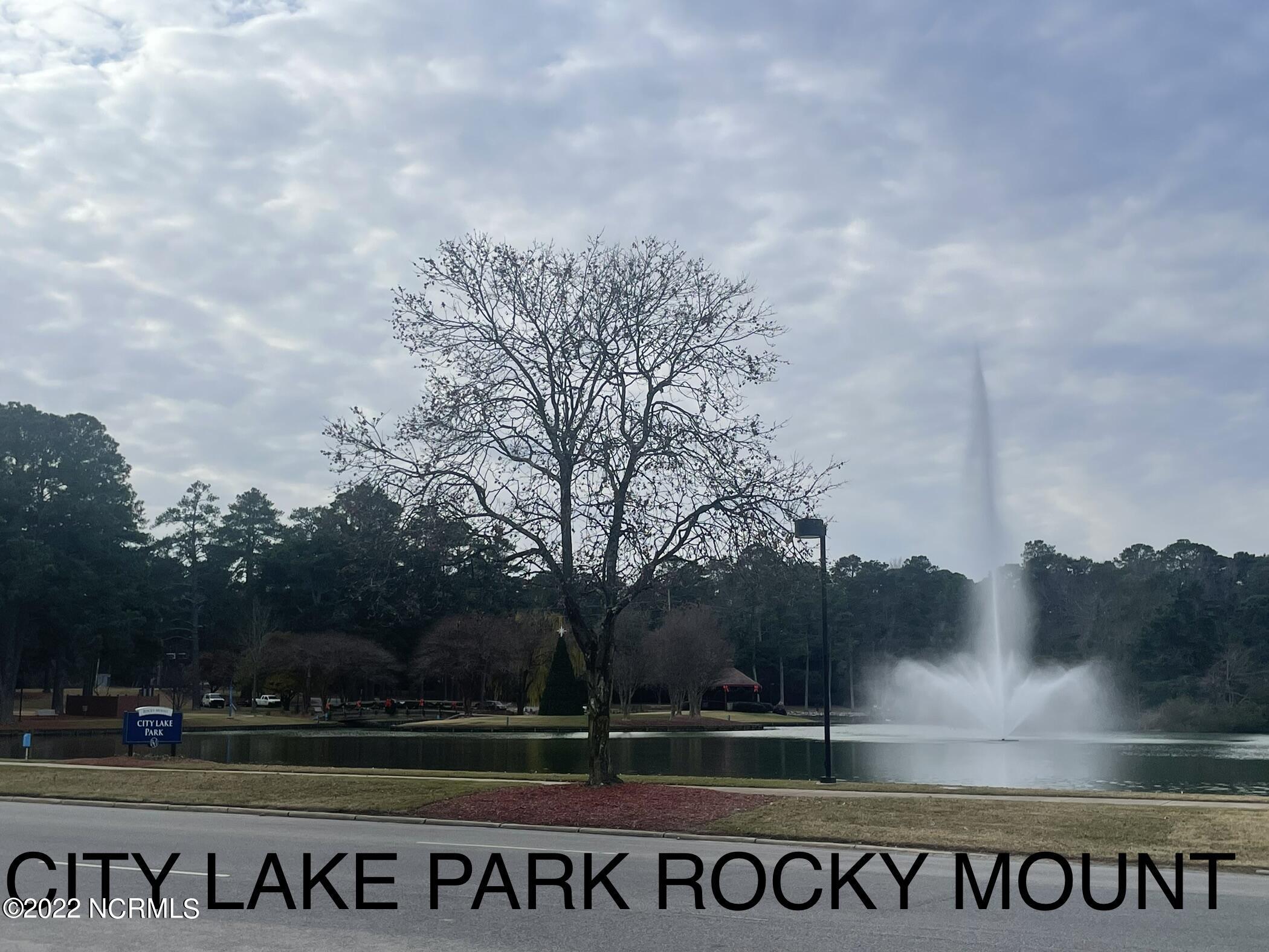 2262 Green Pasture Road, Unit 14 Rocky Mount, NC 27801 - Photo 61 of 66 City Lake