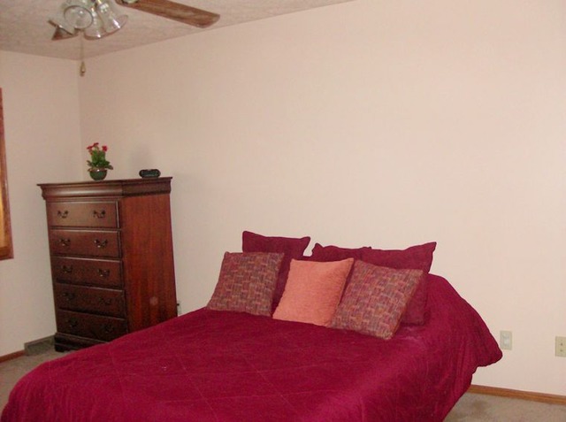 5351 South Mill Pond Road Rochelle, IL 61068 - Photo 8 of 17 a bedroom with a bed and a dresser