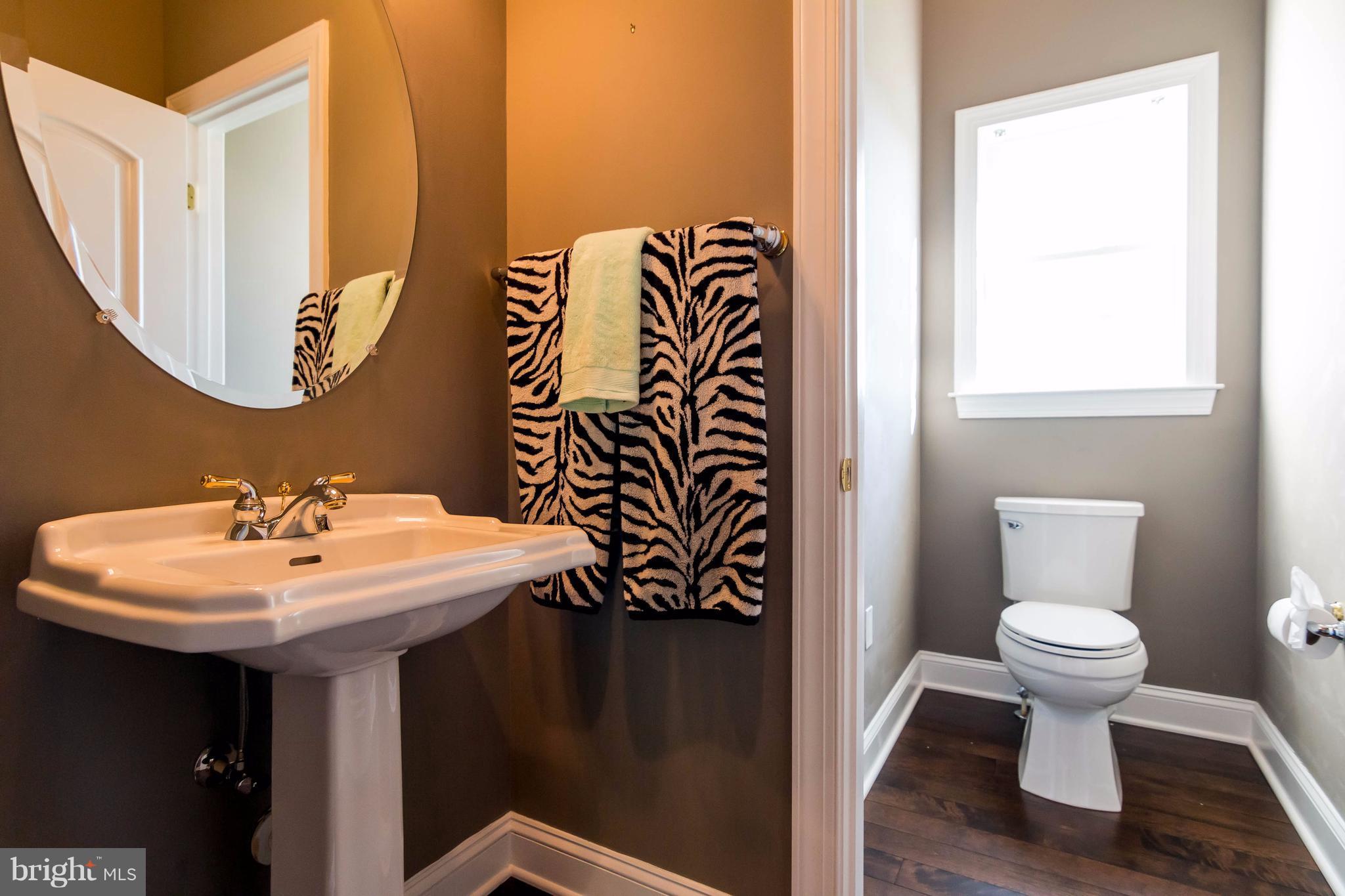 2404 Long Ridge Road Reisterstown, MD 21136 - Photo 8 of 30 a bathroom with a sink and a mirror