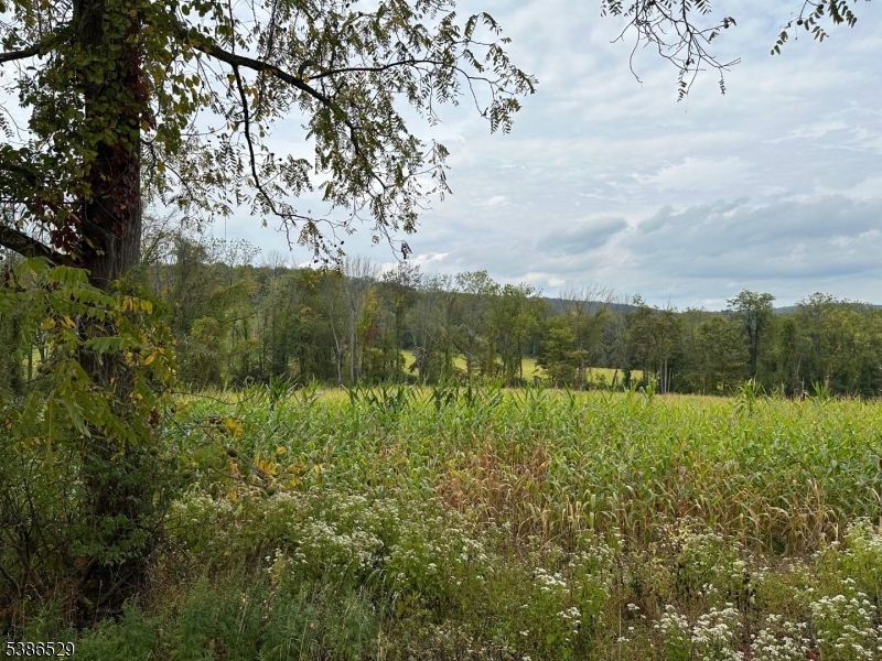 395 Mountain Lake Road Great Meadows, NJ 07838 - Photo 1 of 1 a view of a yard with a tree